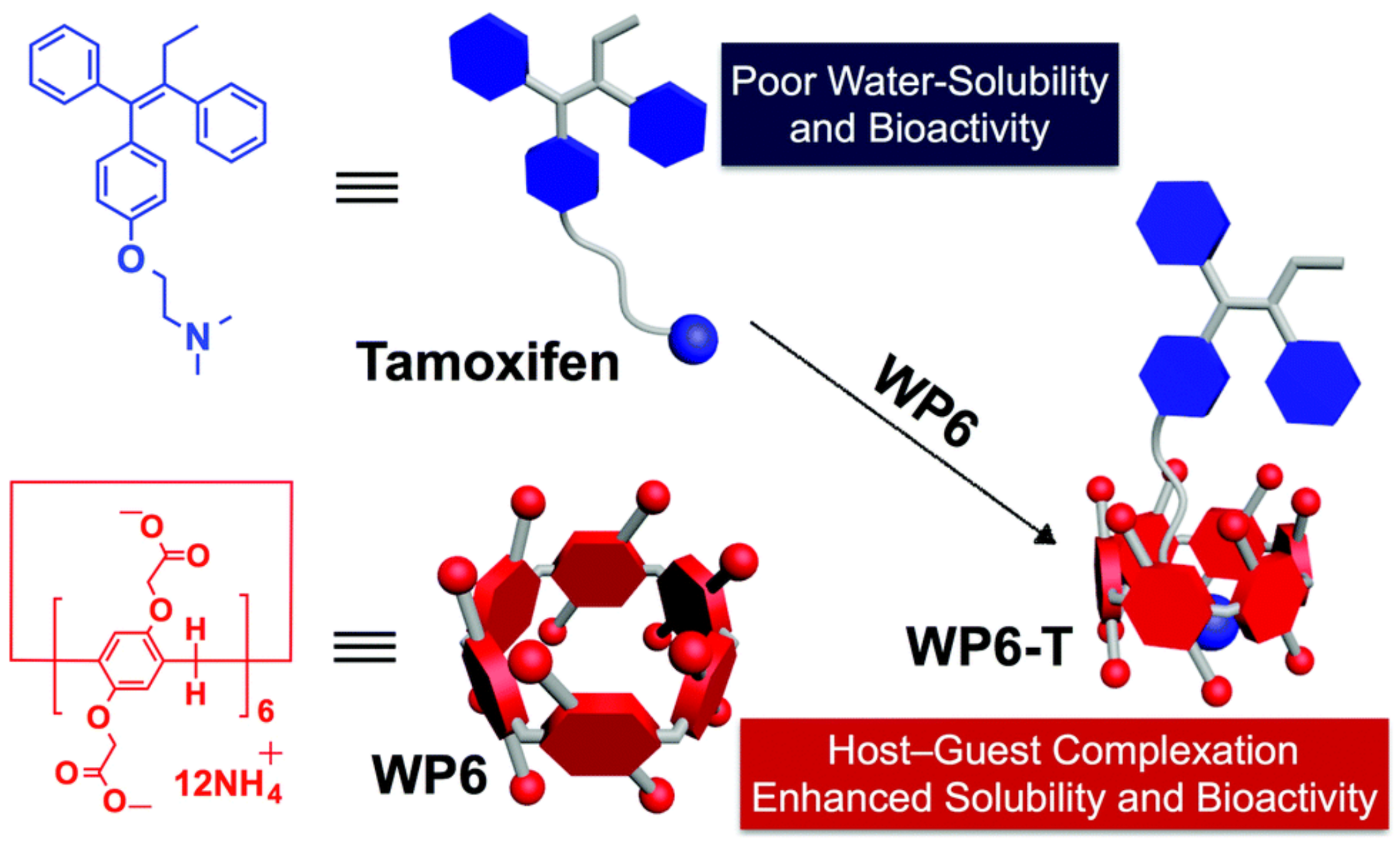Molecules 29 03828 g018