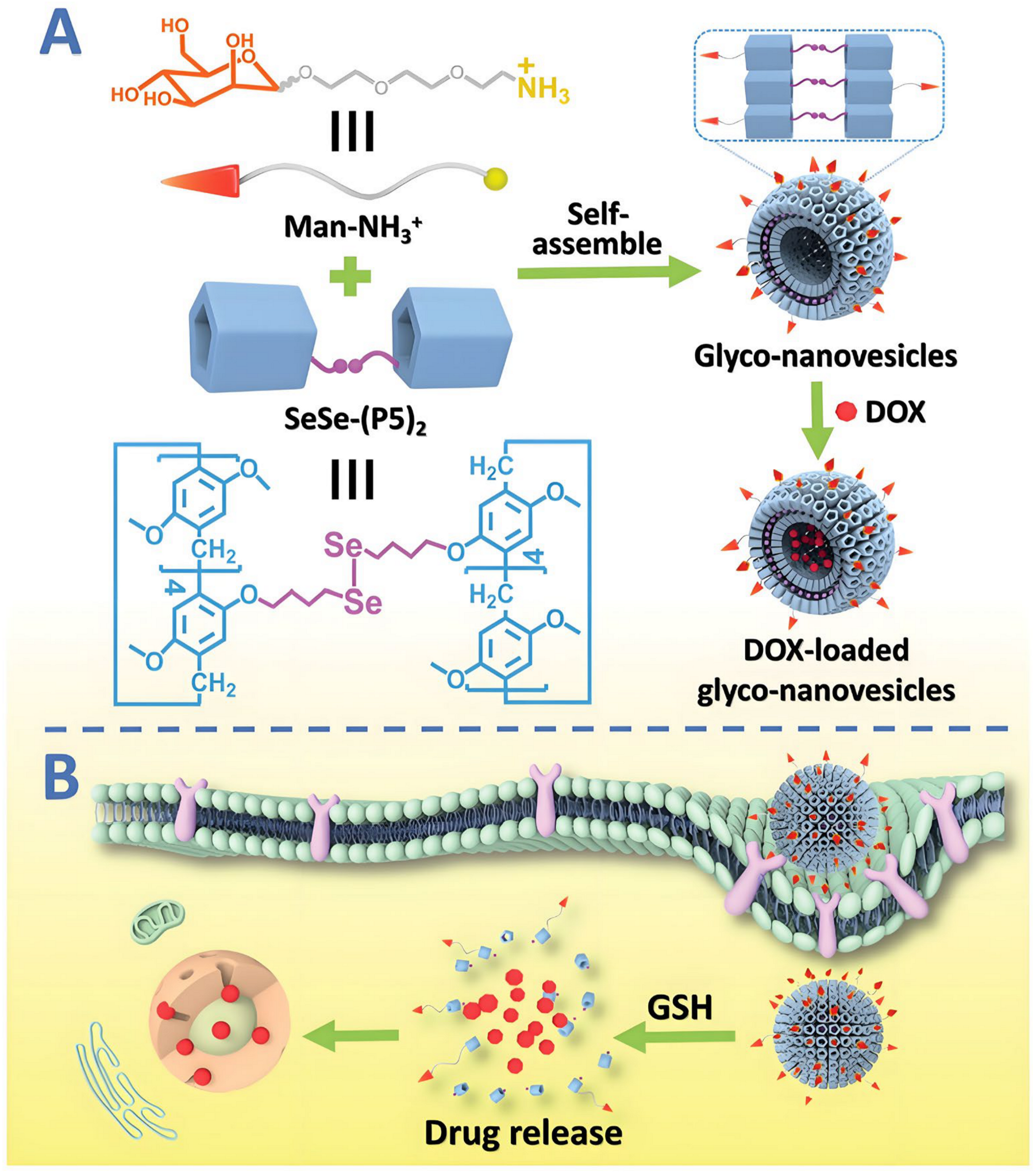 Molecules 29 03828 g019