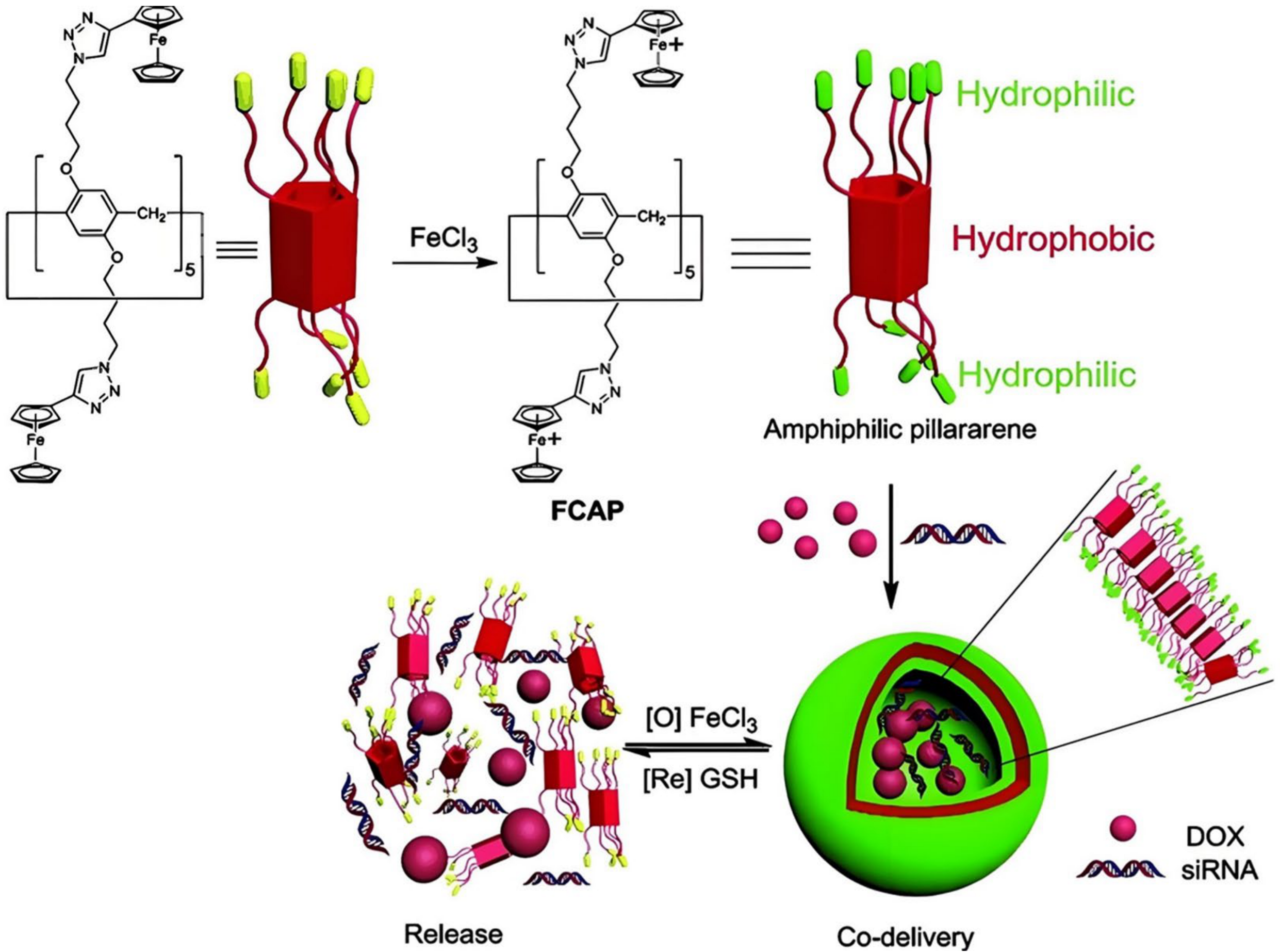 Molecules 29 03828 g021