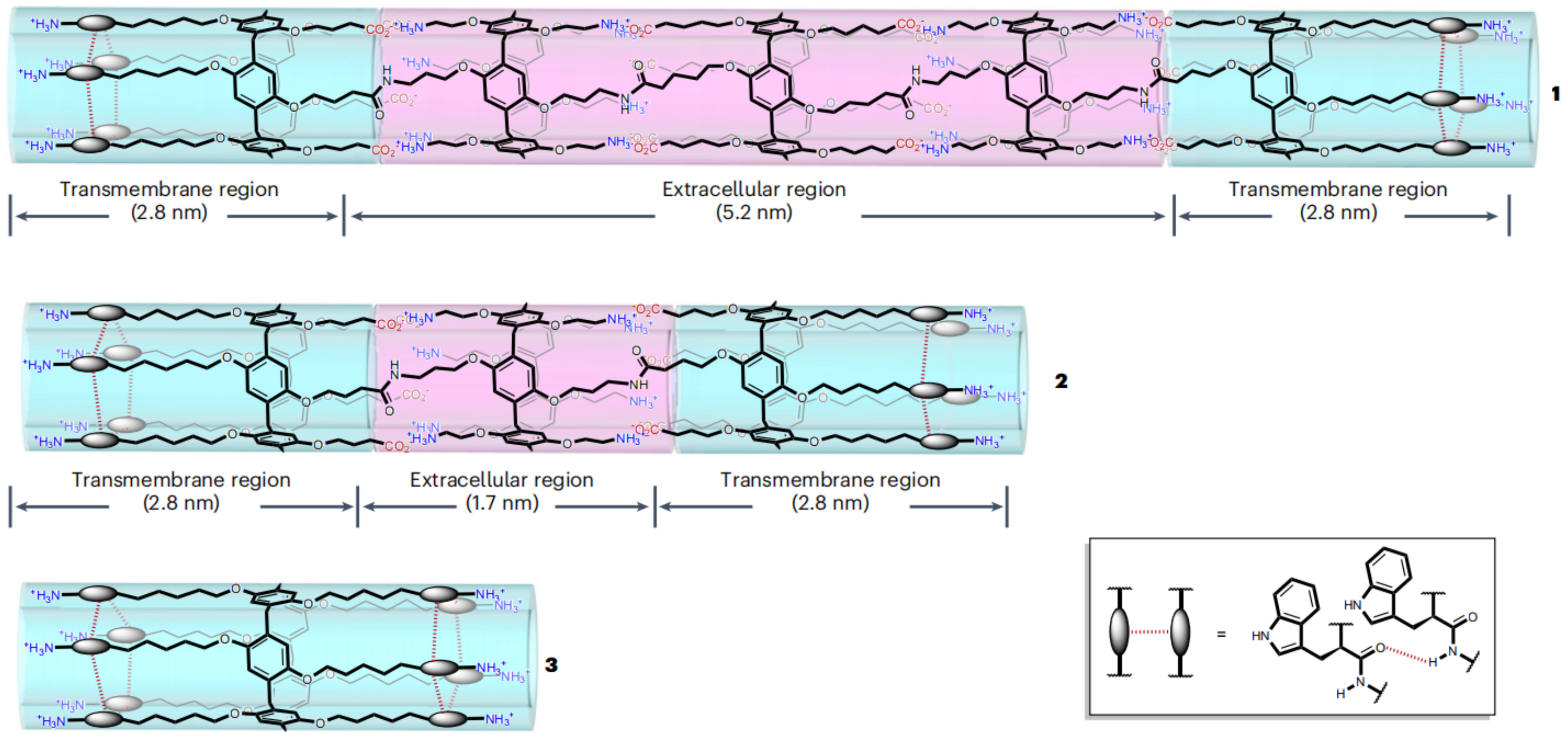 Molecules 29 03828 g022