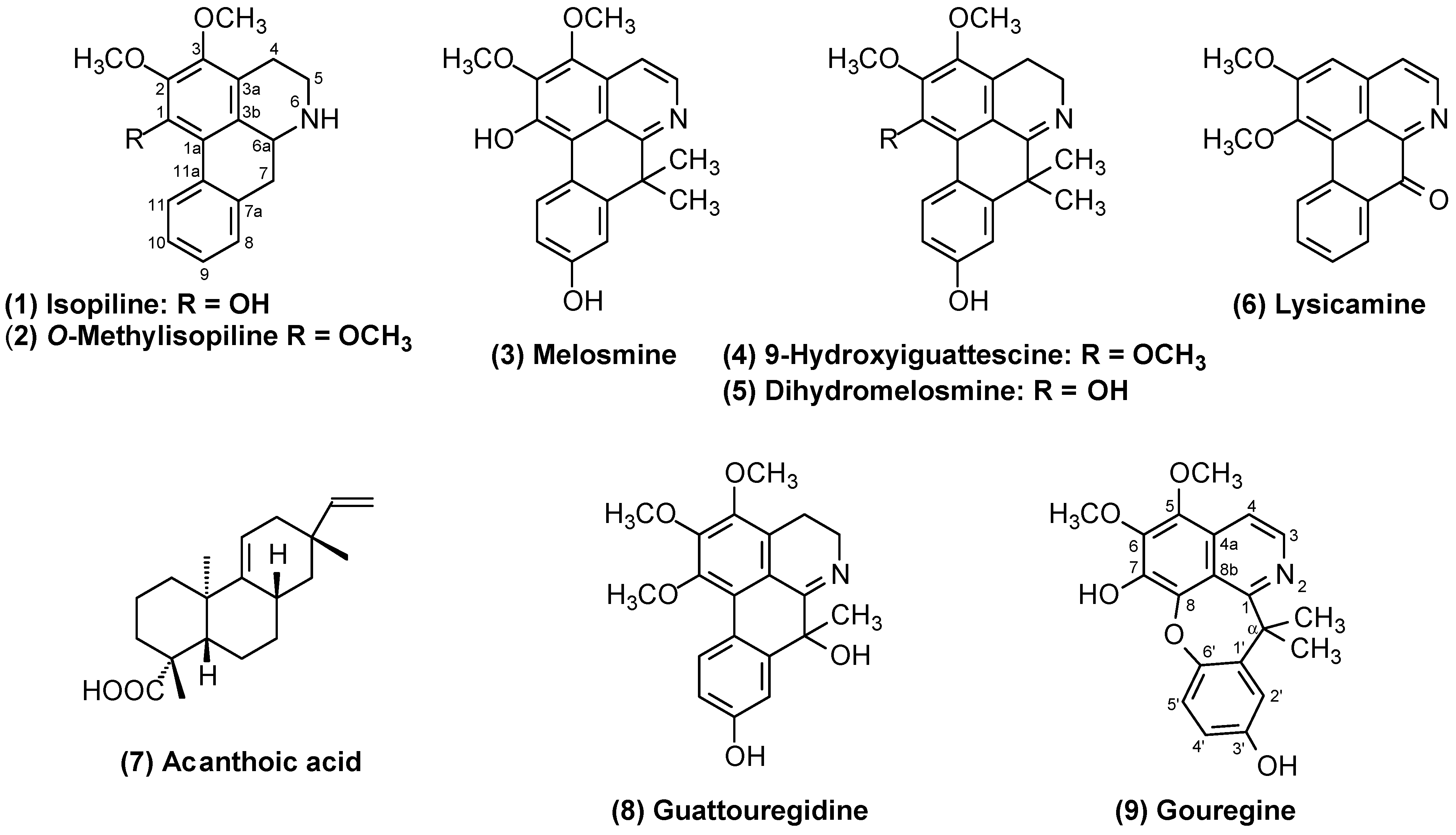 Molecules 29 03834 g001 Molecules 29 03834 g001