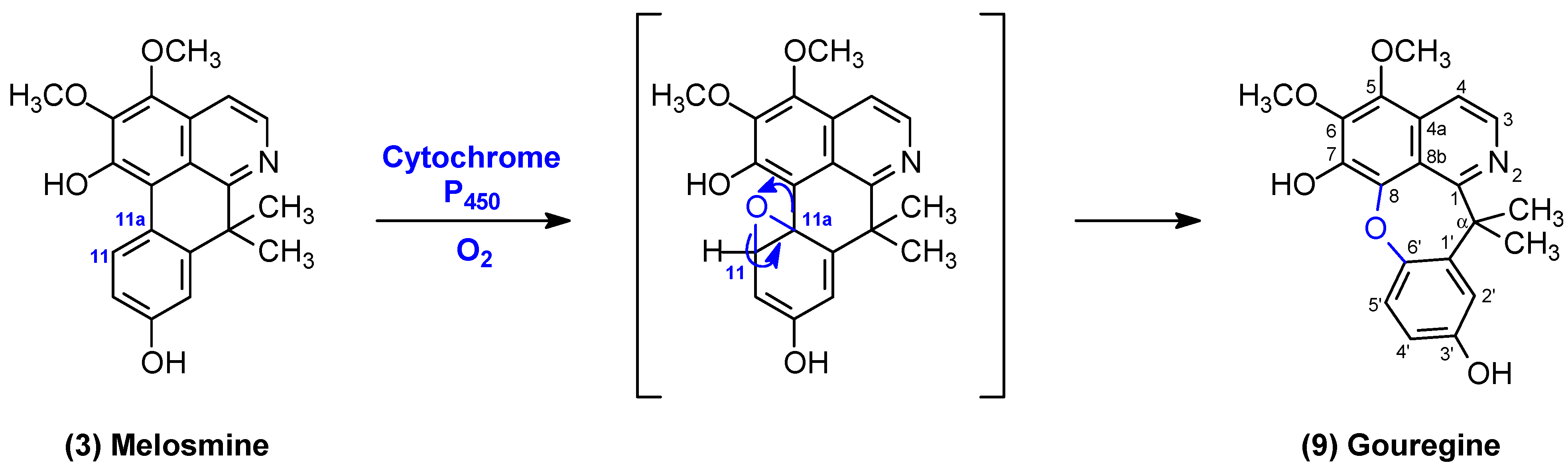Molecules 29 03834 g003 Molecules 29 03834 g003