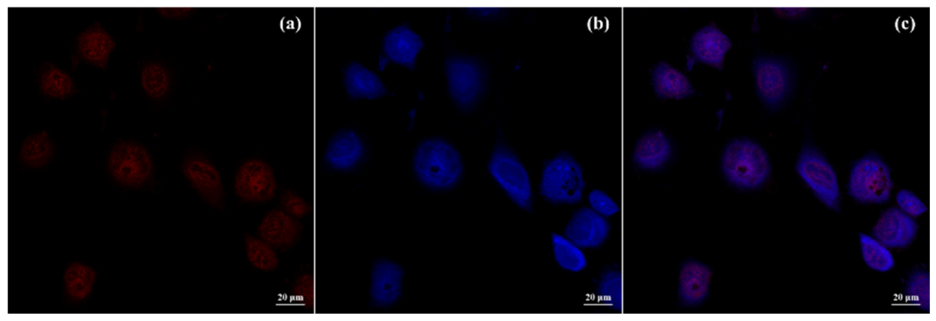 Molecules 29 03837 g006