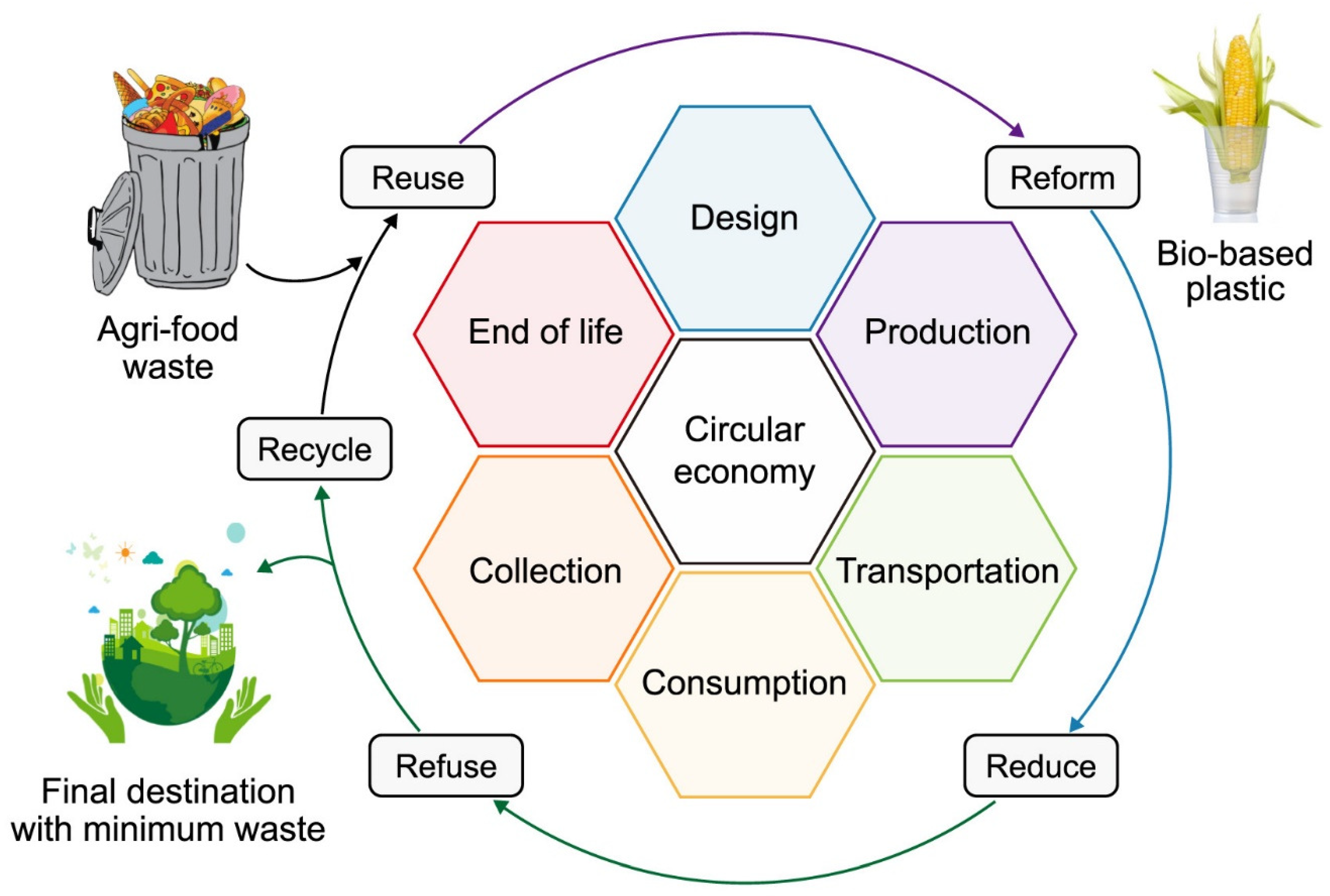 Molecules 29 03838 g003