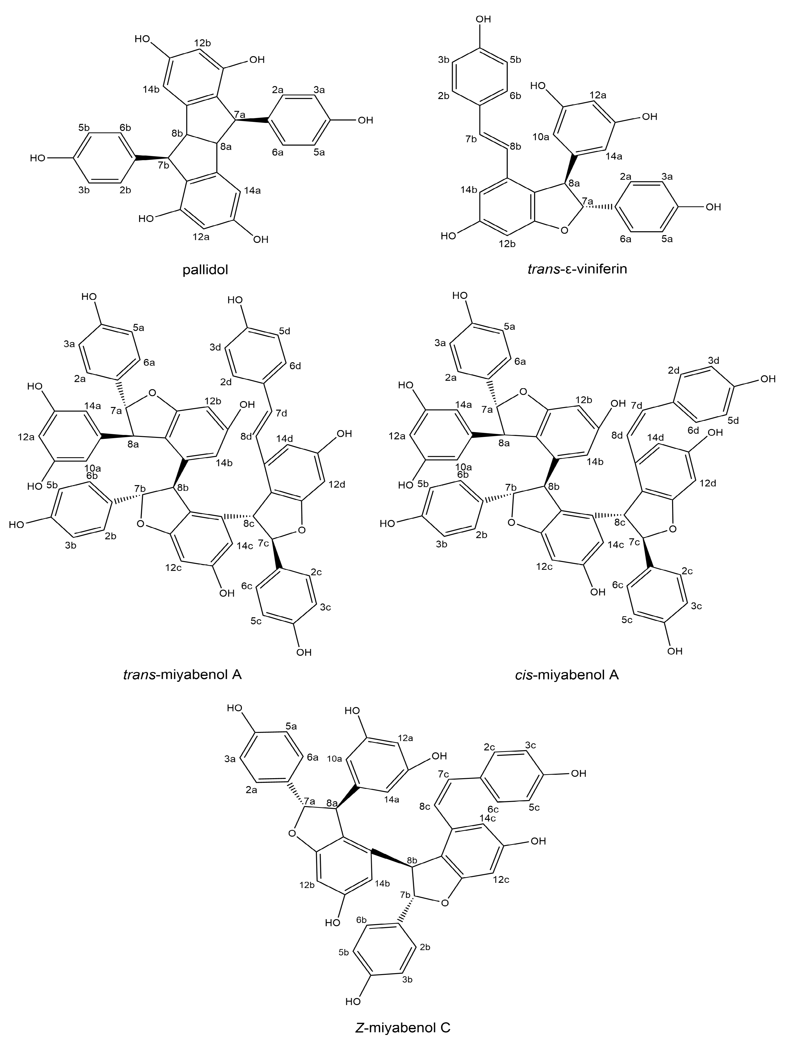 Molecules 29 03840 g001
