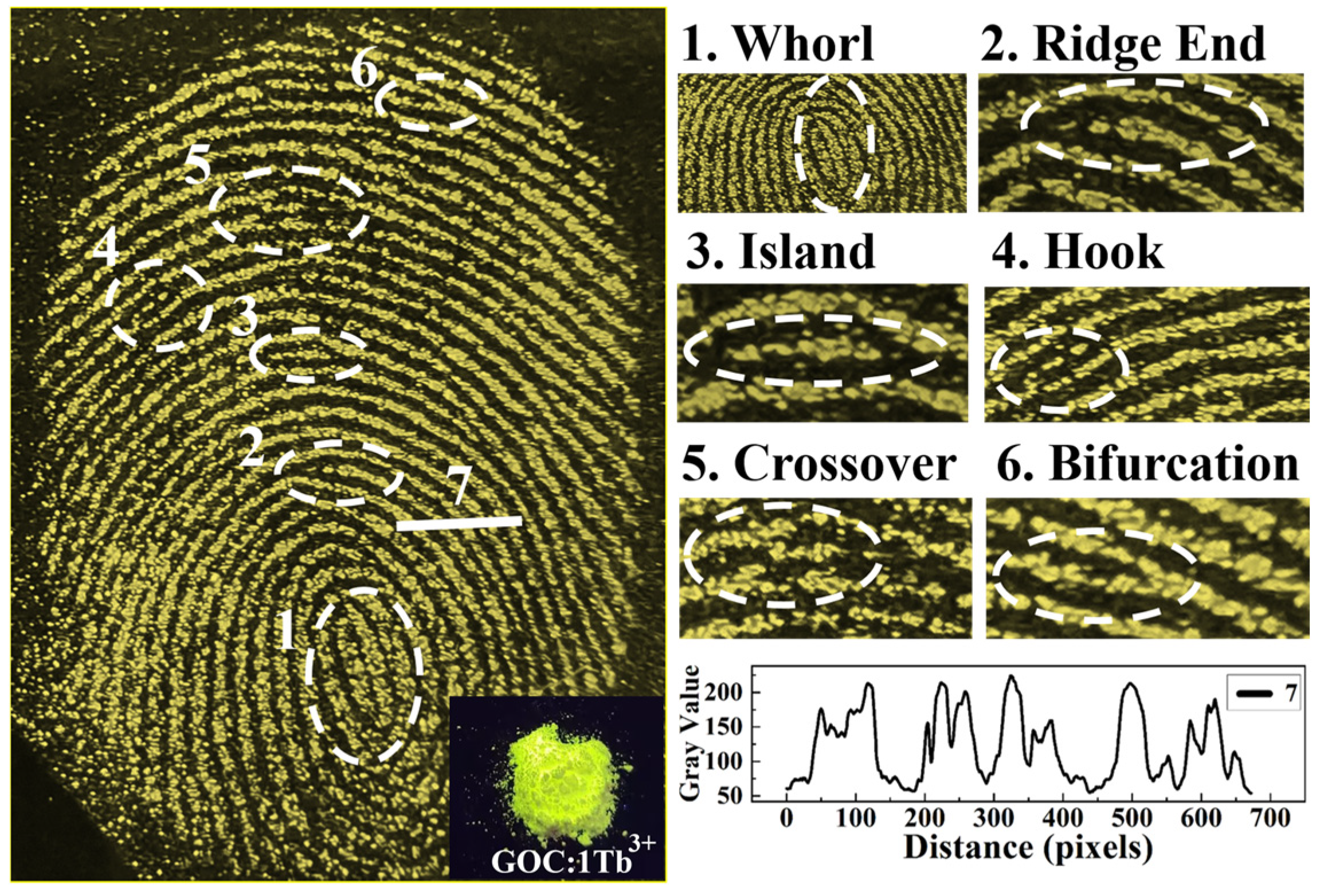 Molecules 29 03846 g011