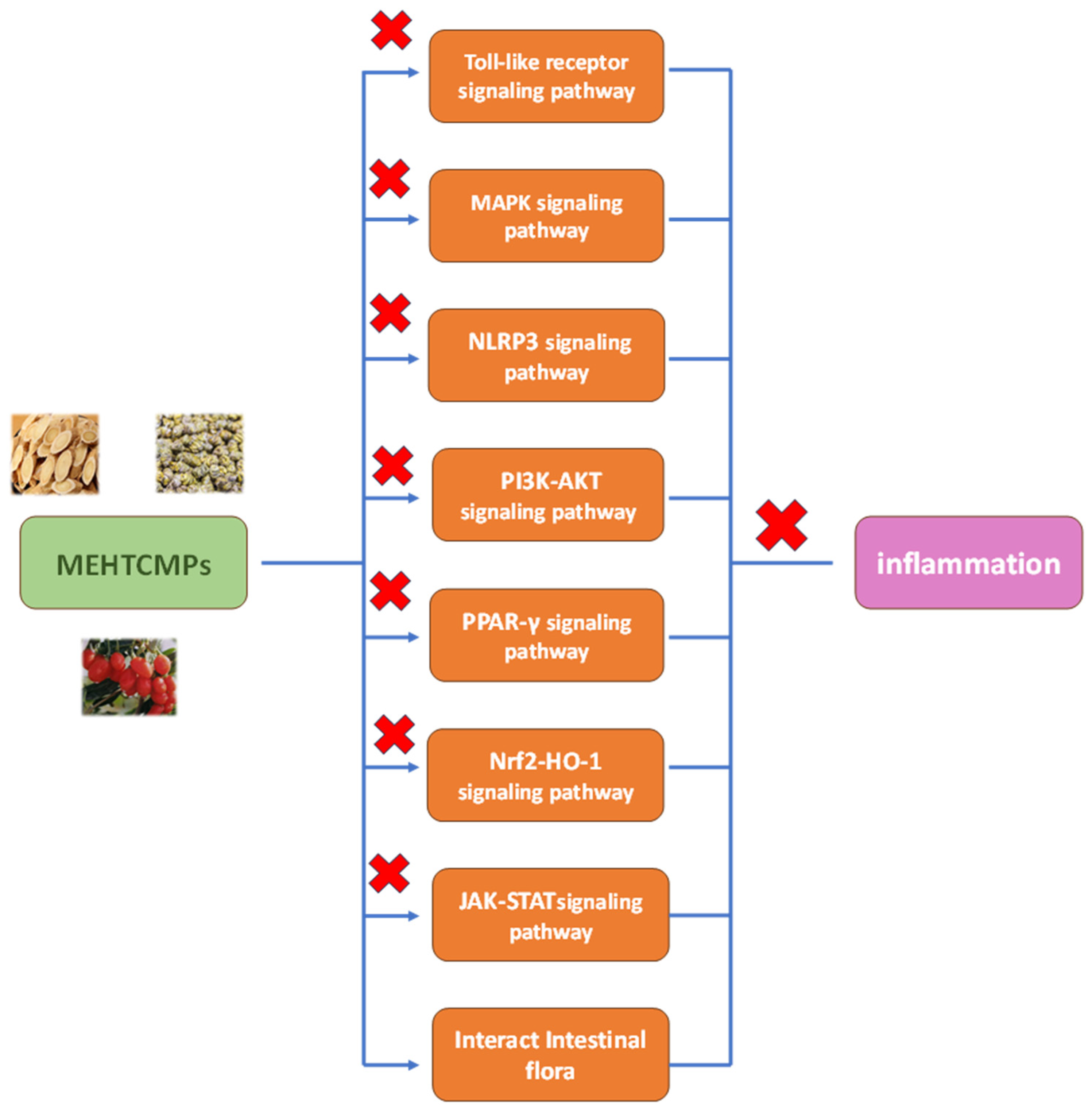 Molecules 29 03852 g001