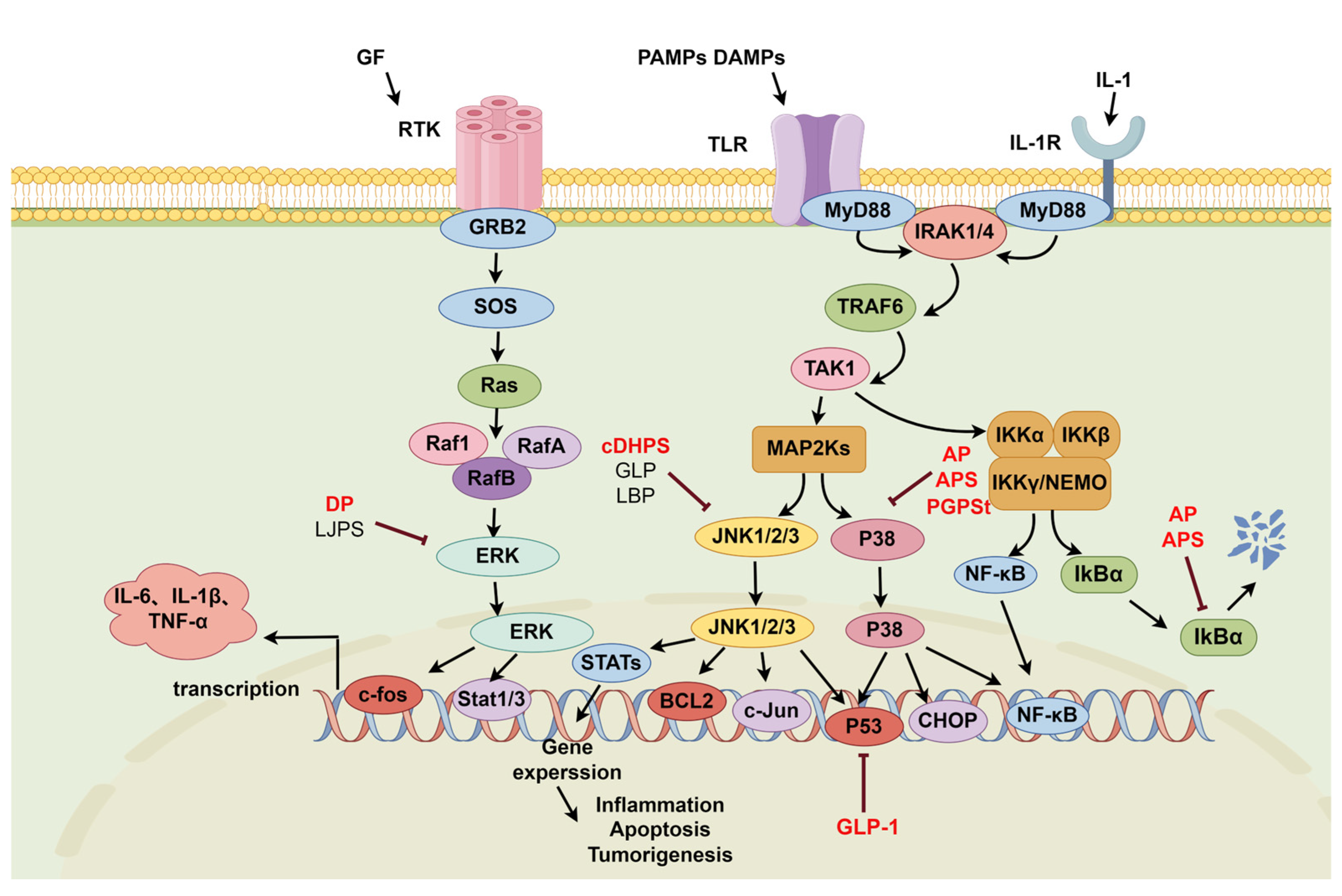 Molecules 29 03852 g003
