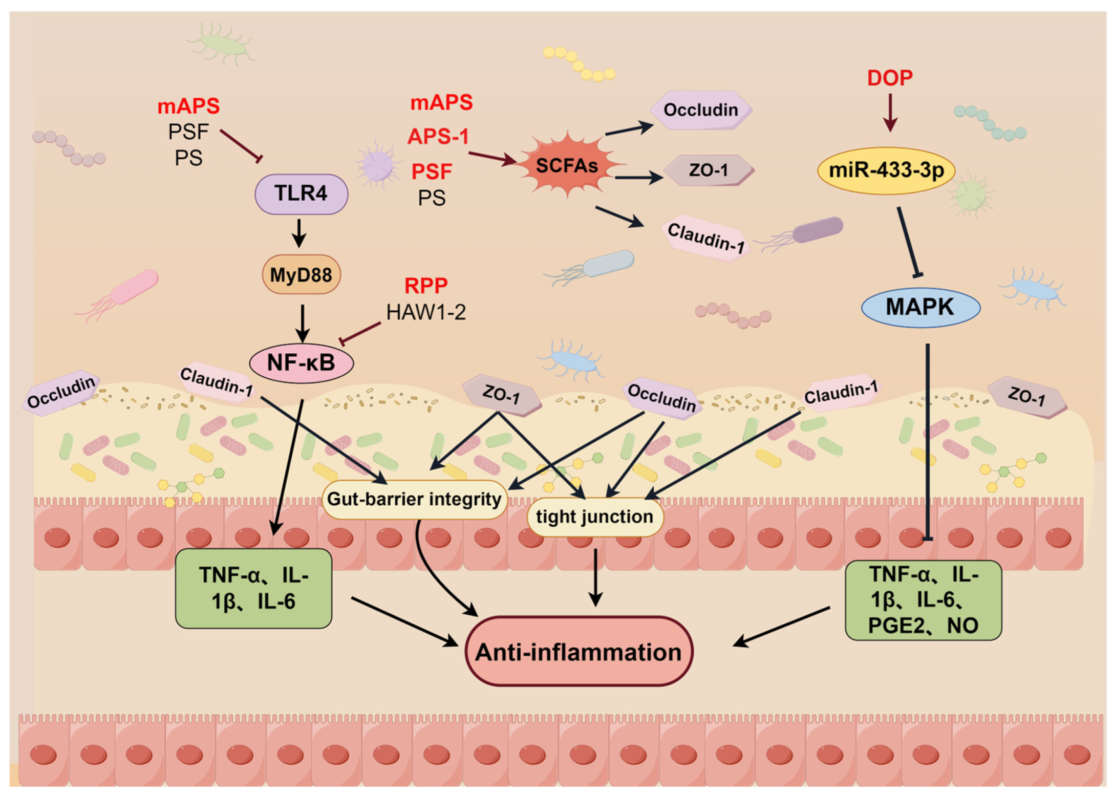 Molecules 29 03852 g005
