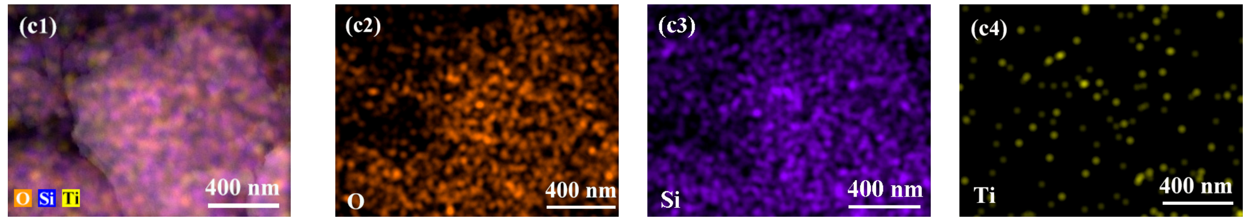Molecules 29 03856 g005b