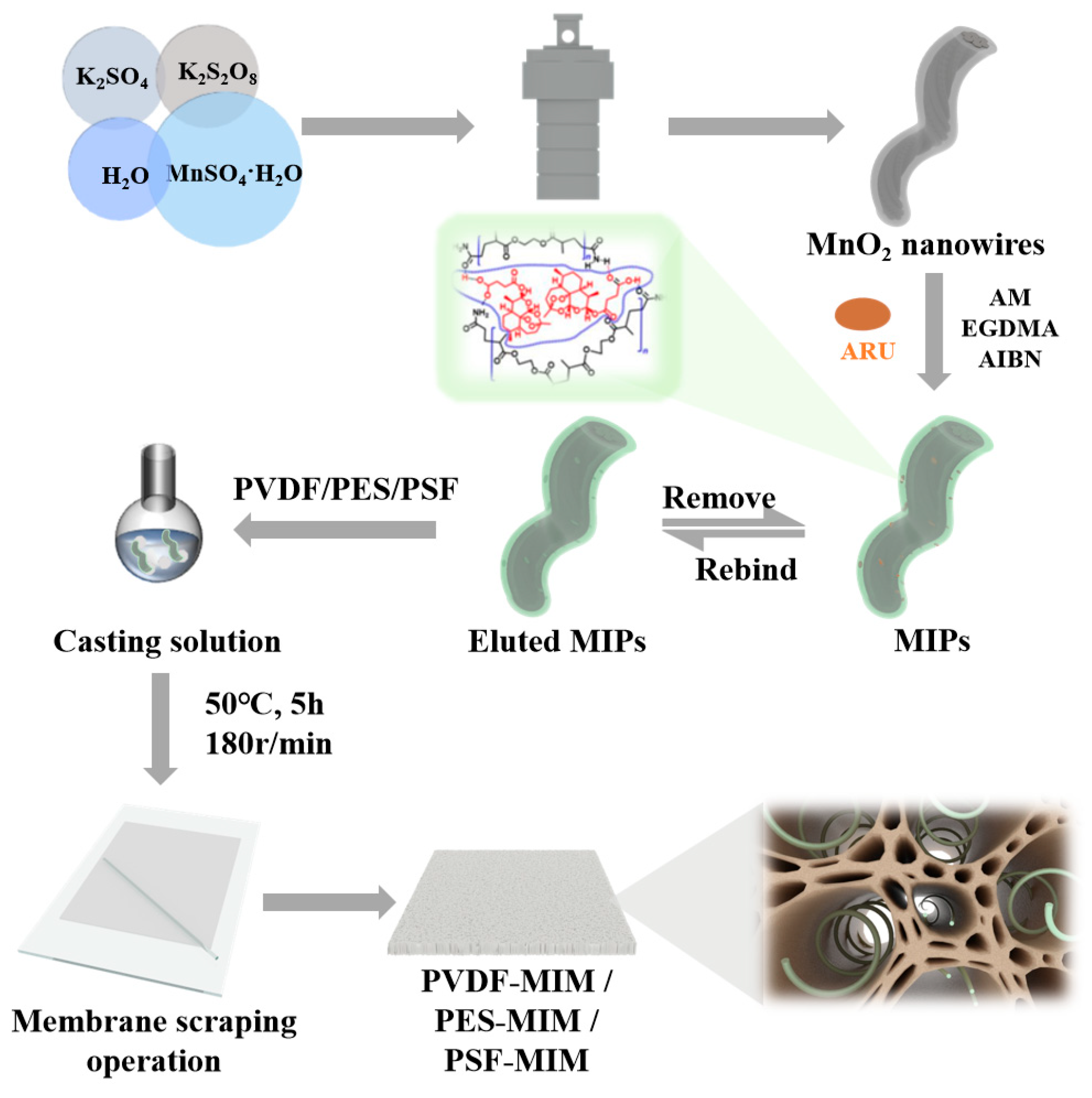 Molecules 29 03868 g001