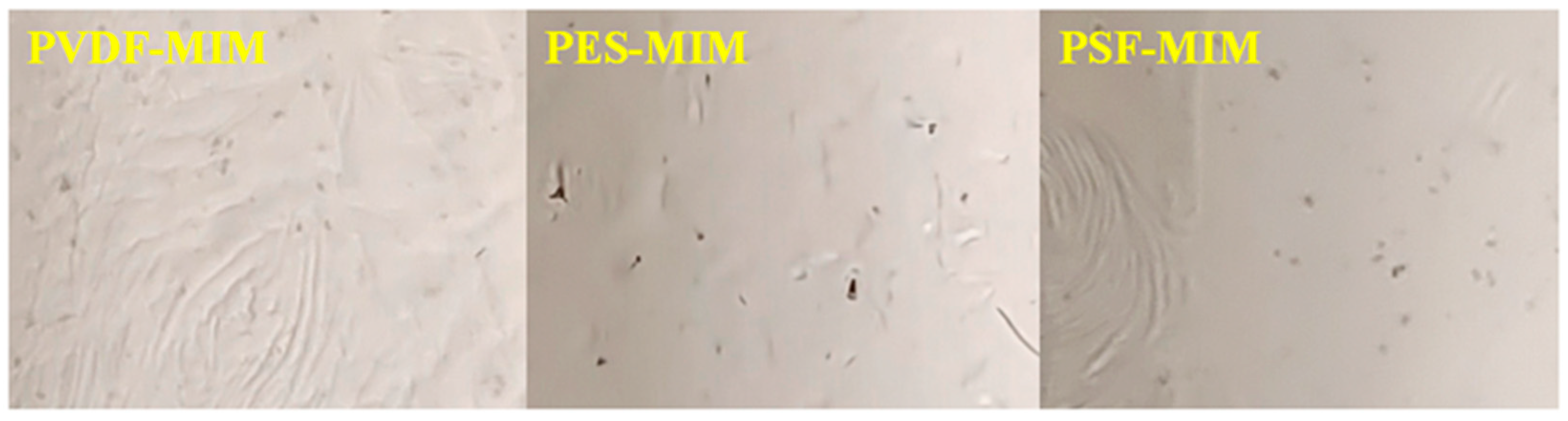 Molecules 29 03868 g006