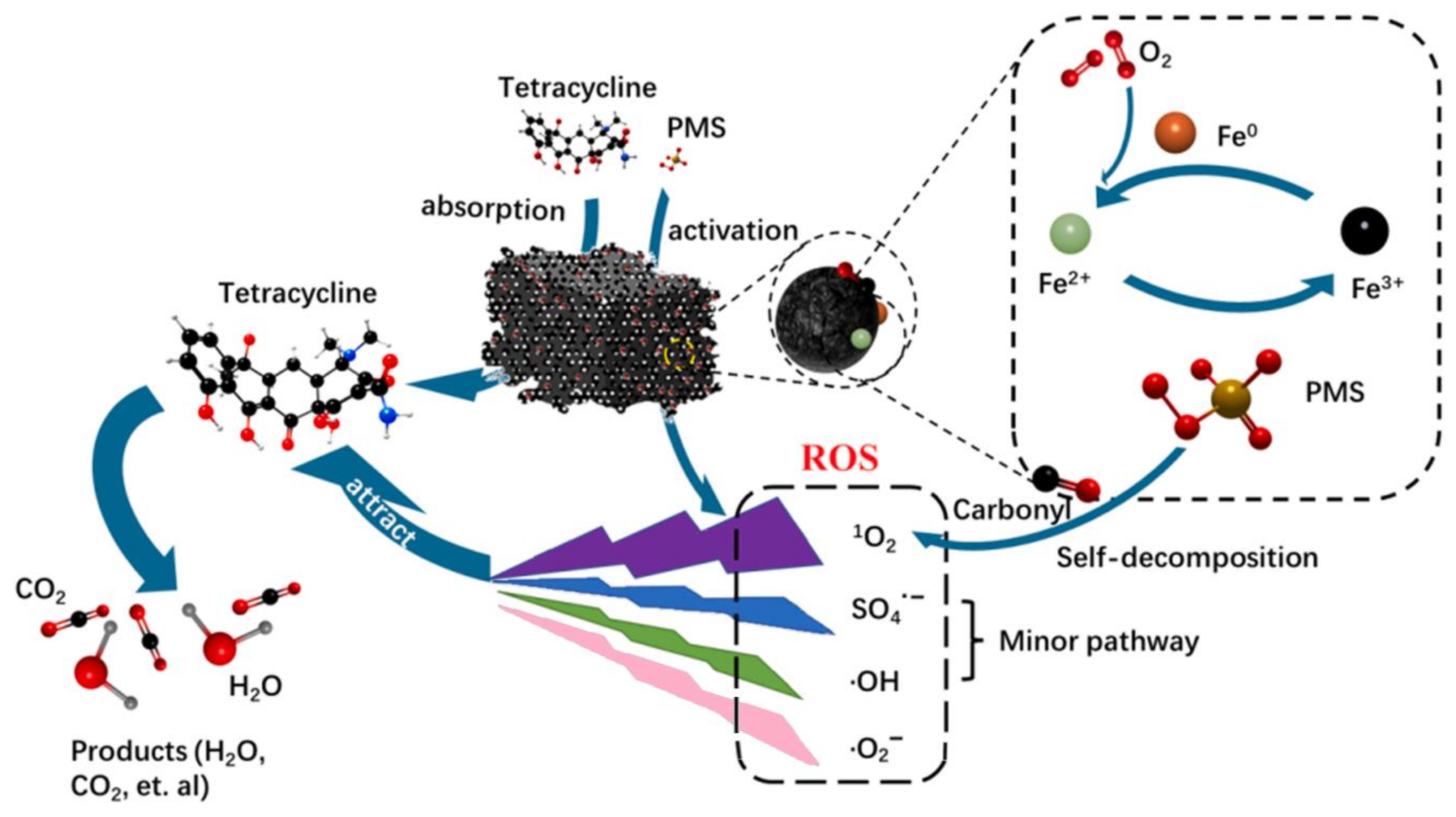 Molecules 29 03875 g019