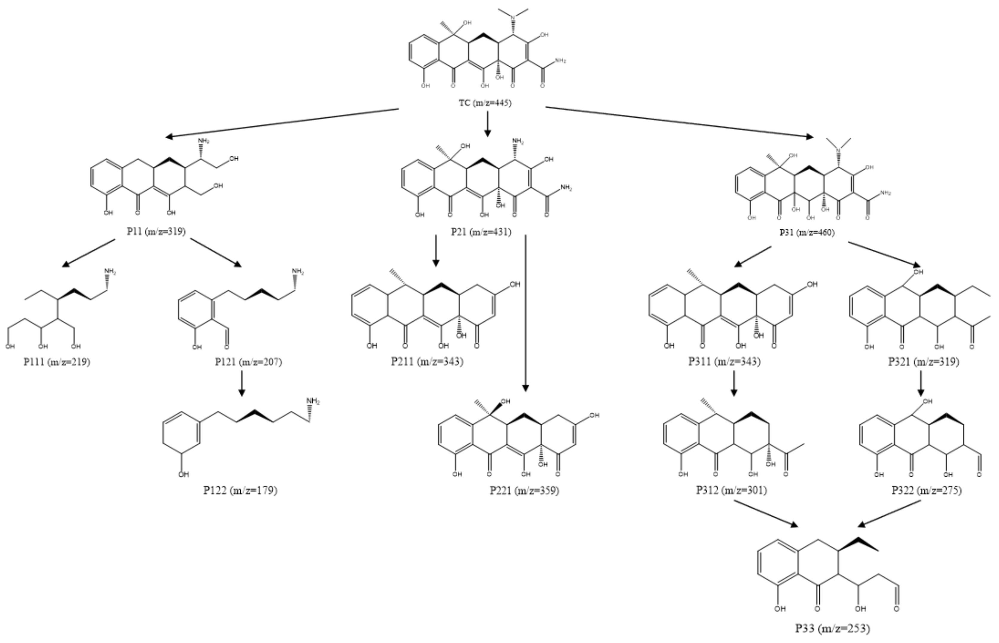 Molecules 29 03875 g021