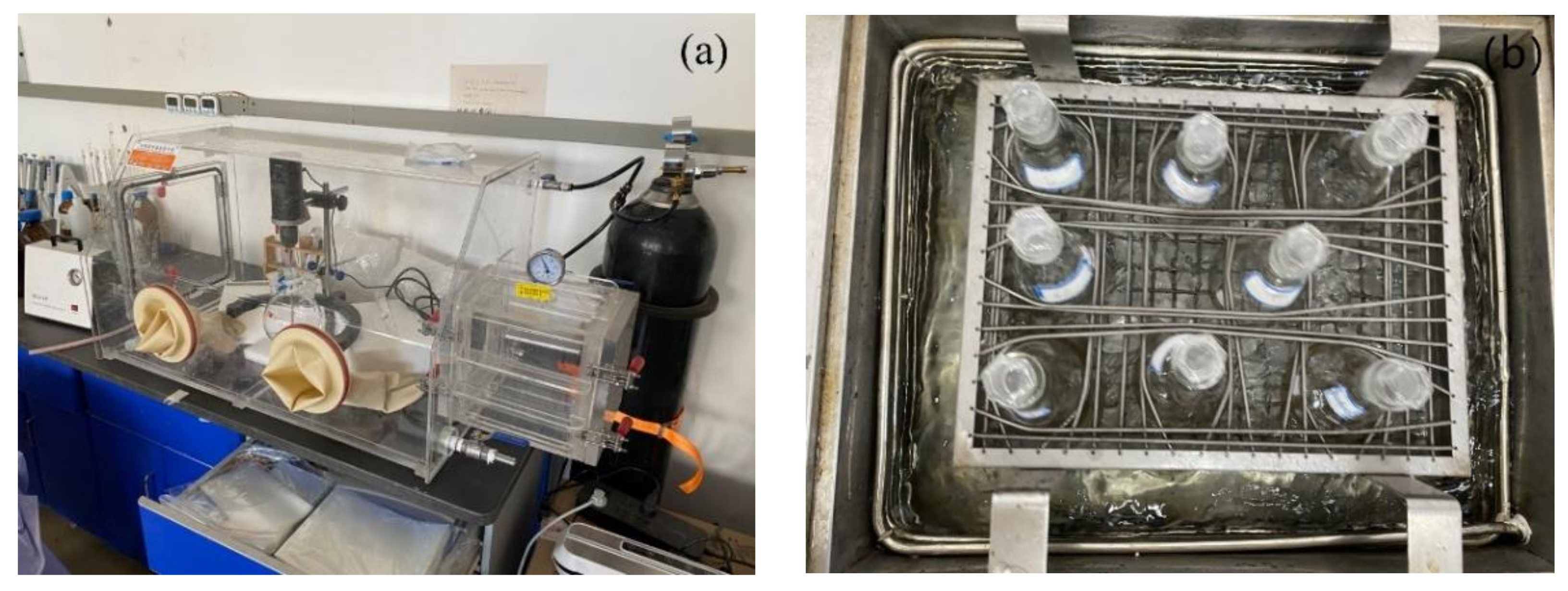Molecules 29 03875 g022