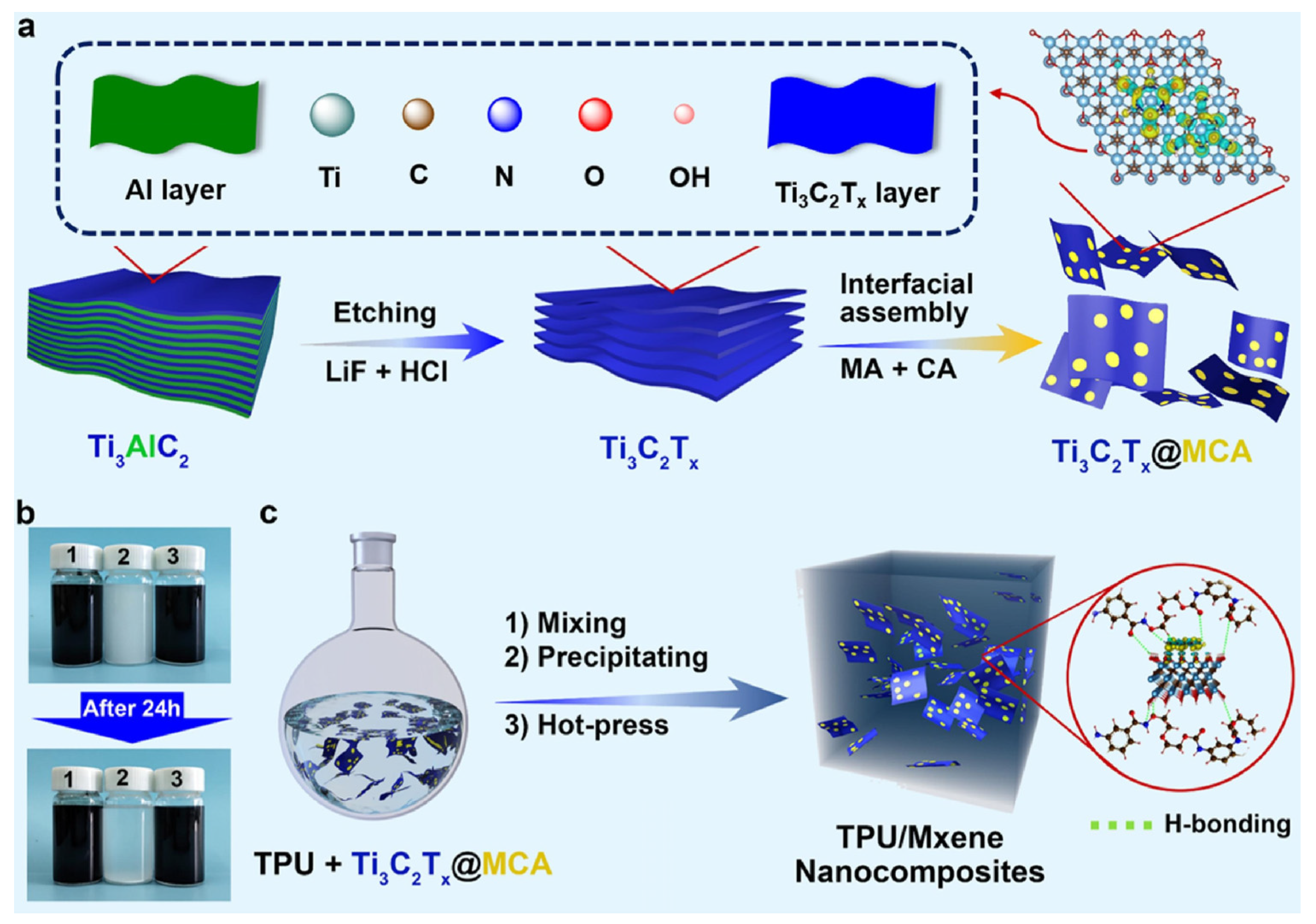 Molecules 29 03880 g006
