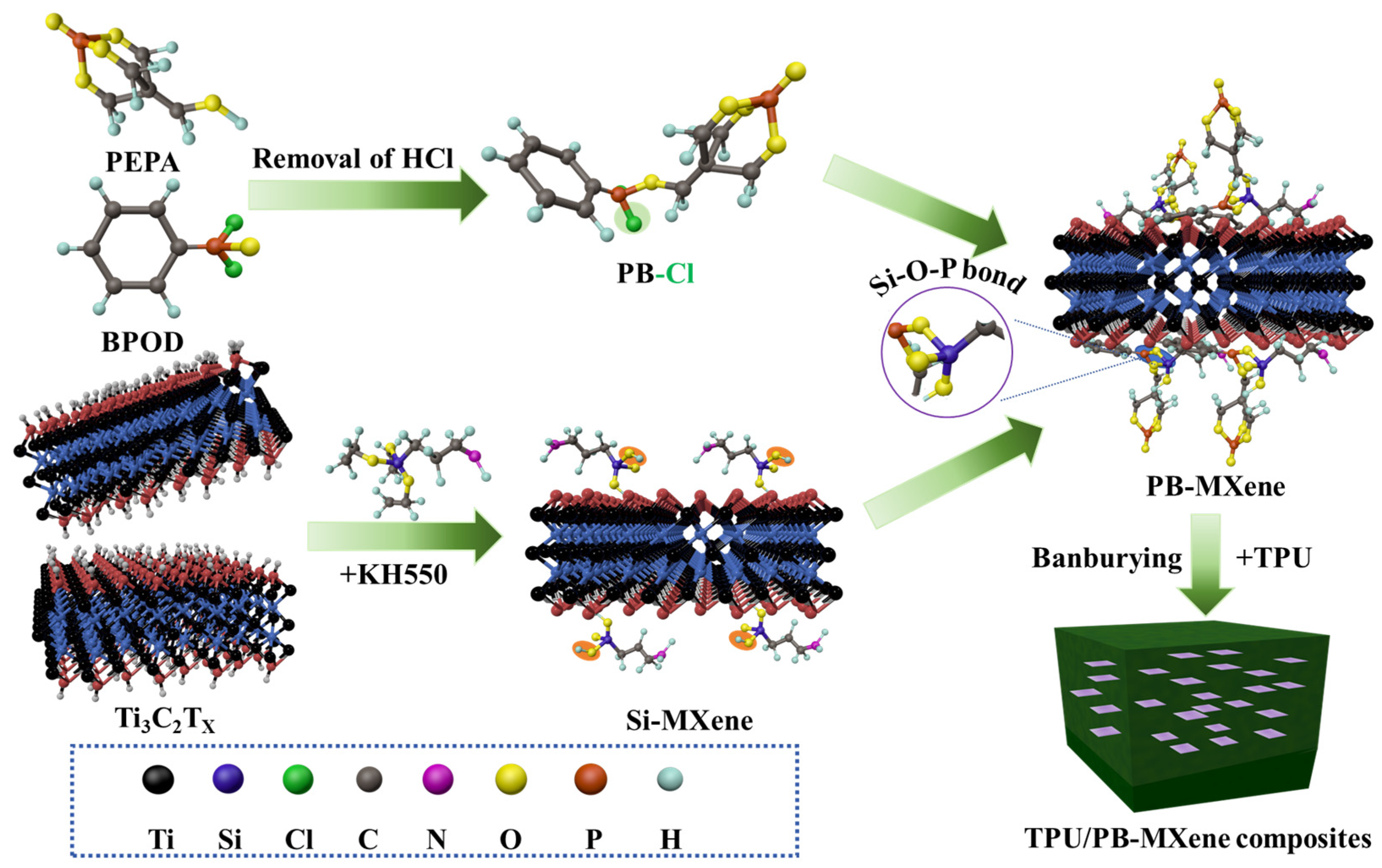 Molecules 29 03880 g009