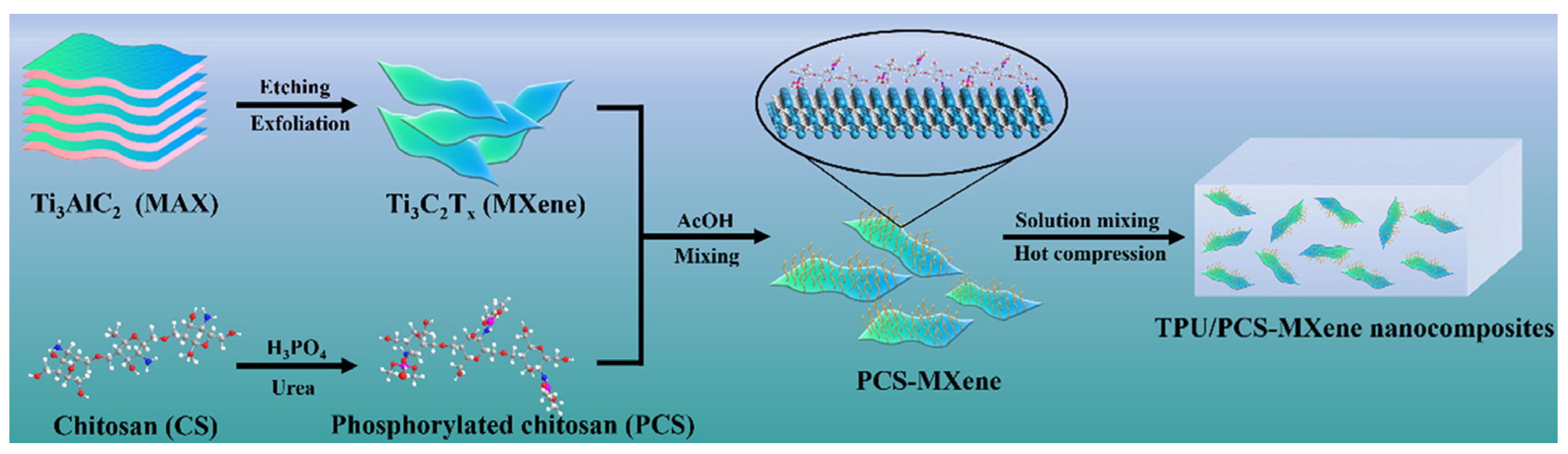 Molecules 29 03880 g010
