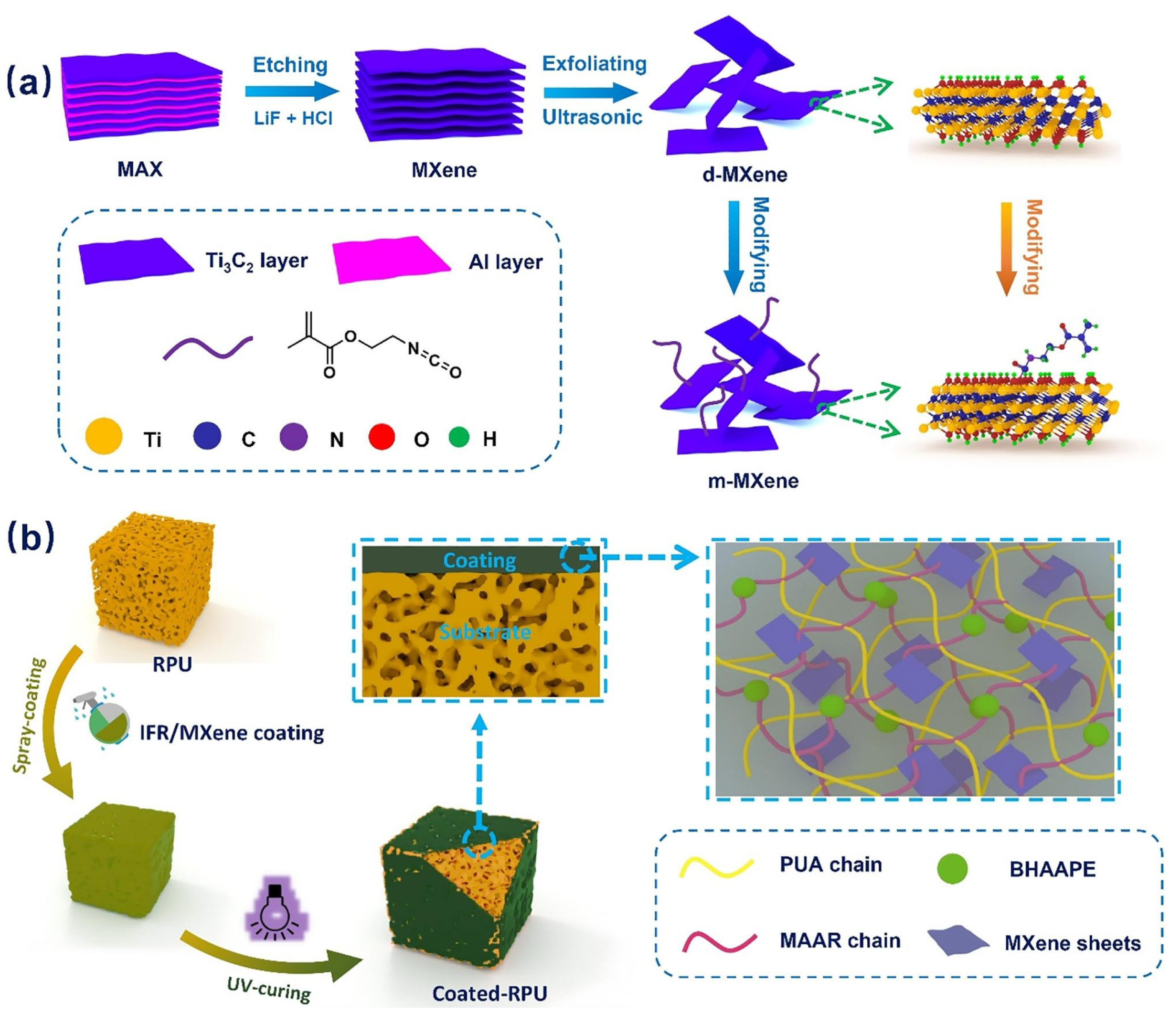 Molecules 29 03880 g011