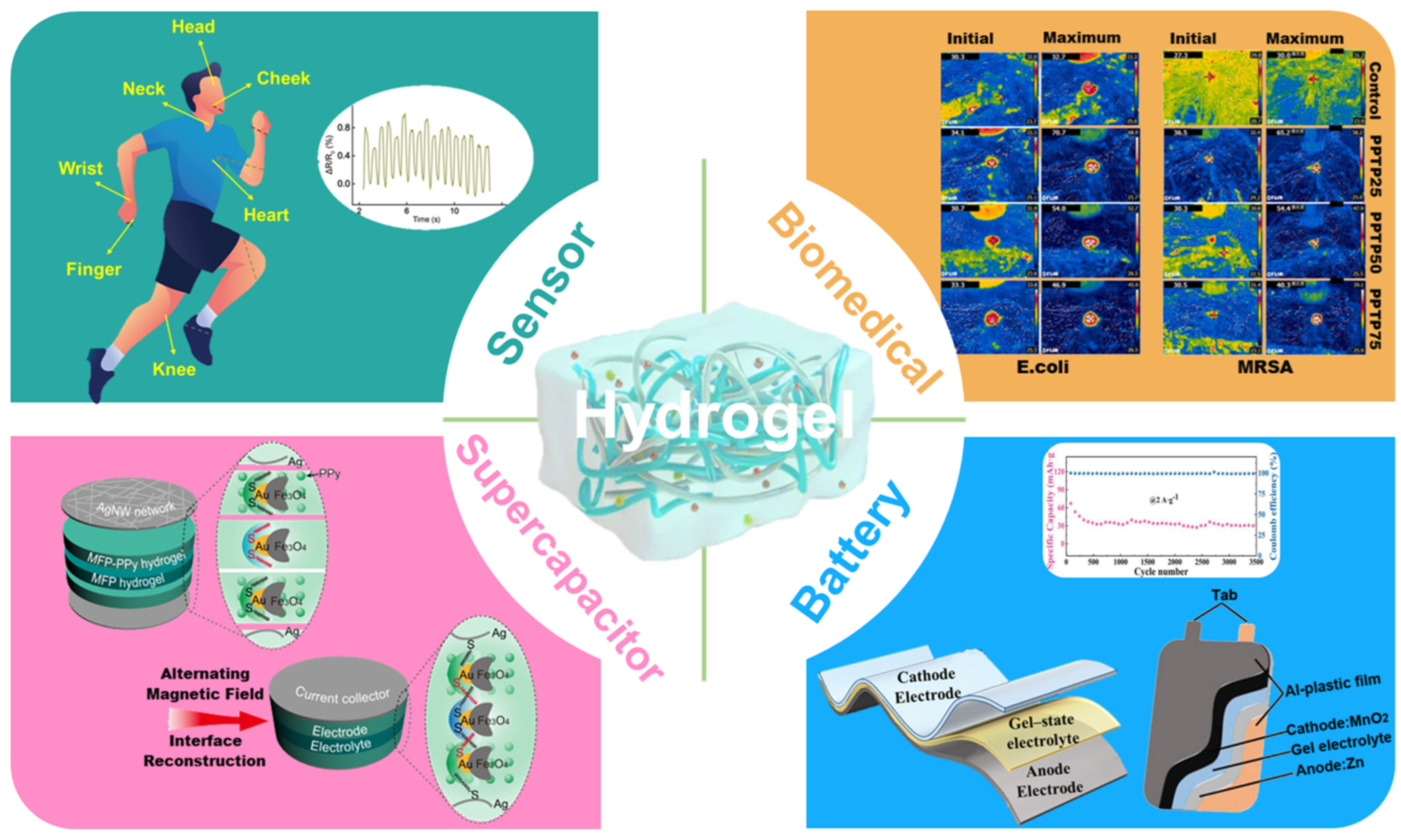 Molecules 29 03883 g001