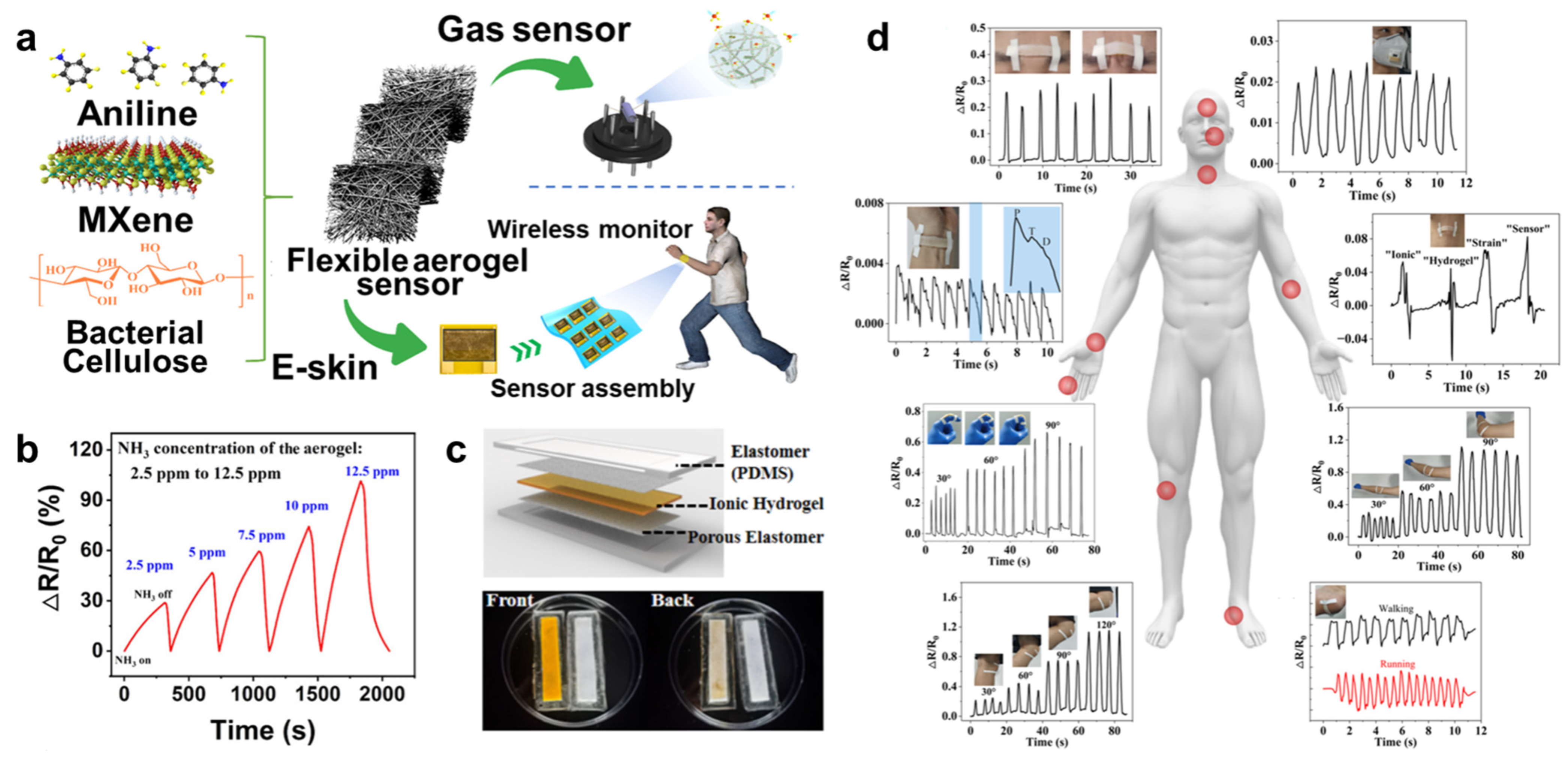 Molecules 29 03883 g009