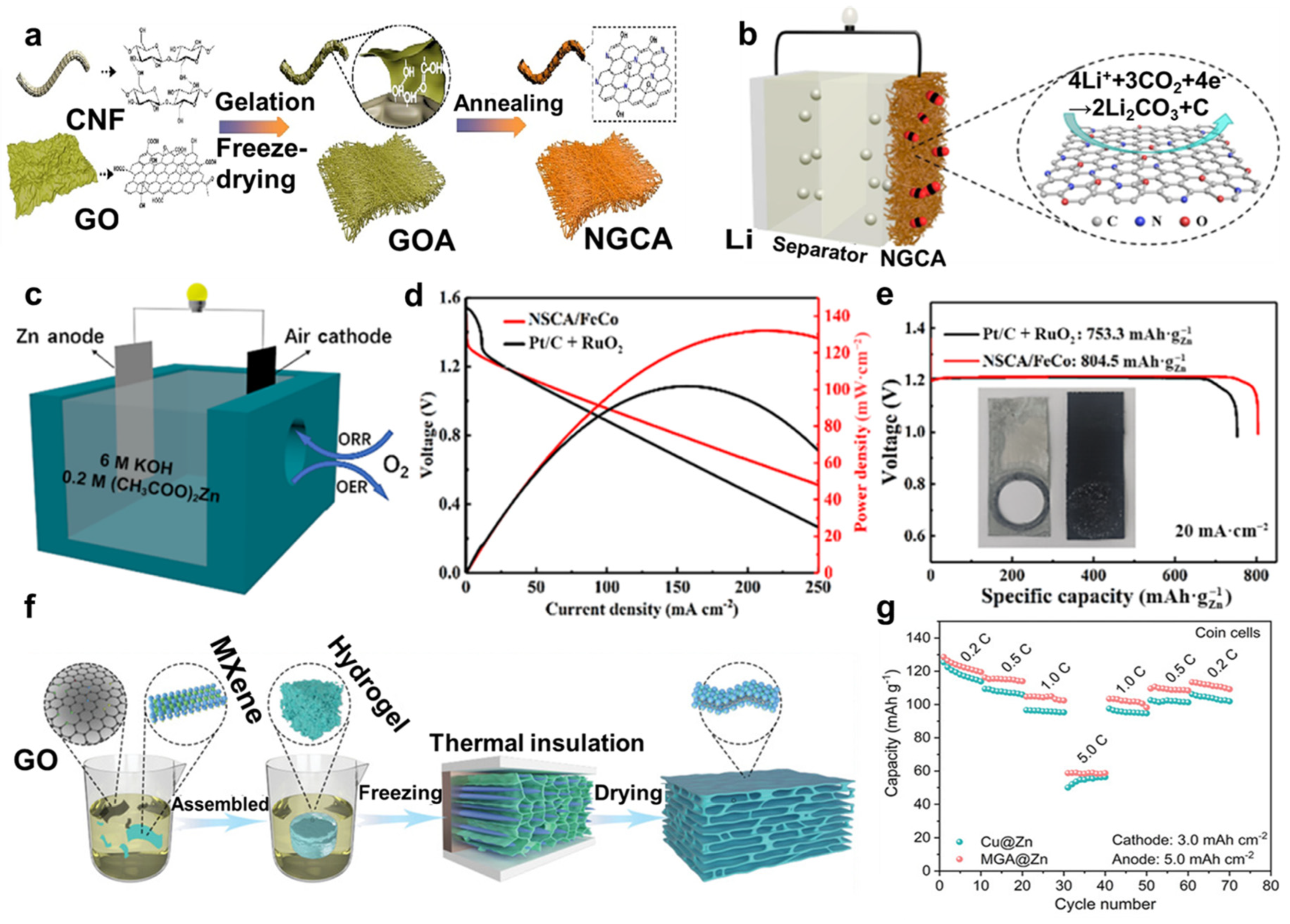 Molecules 29 03883 g013