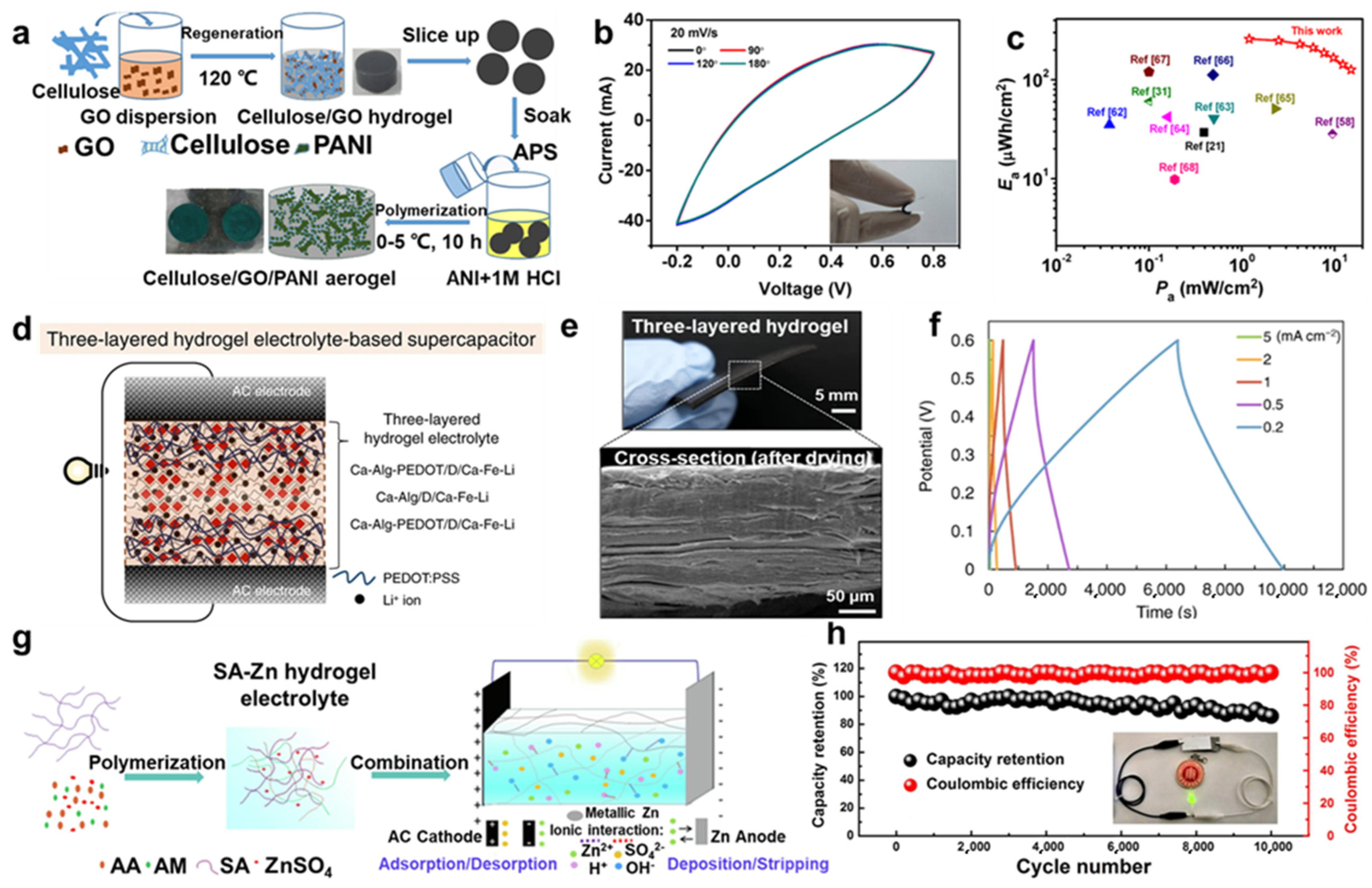 Molecules 29 03883 g014