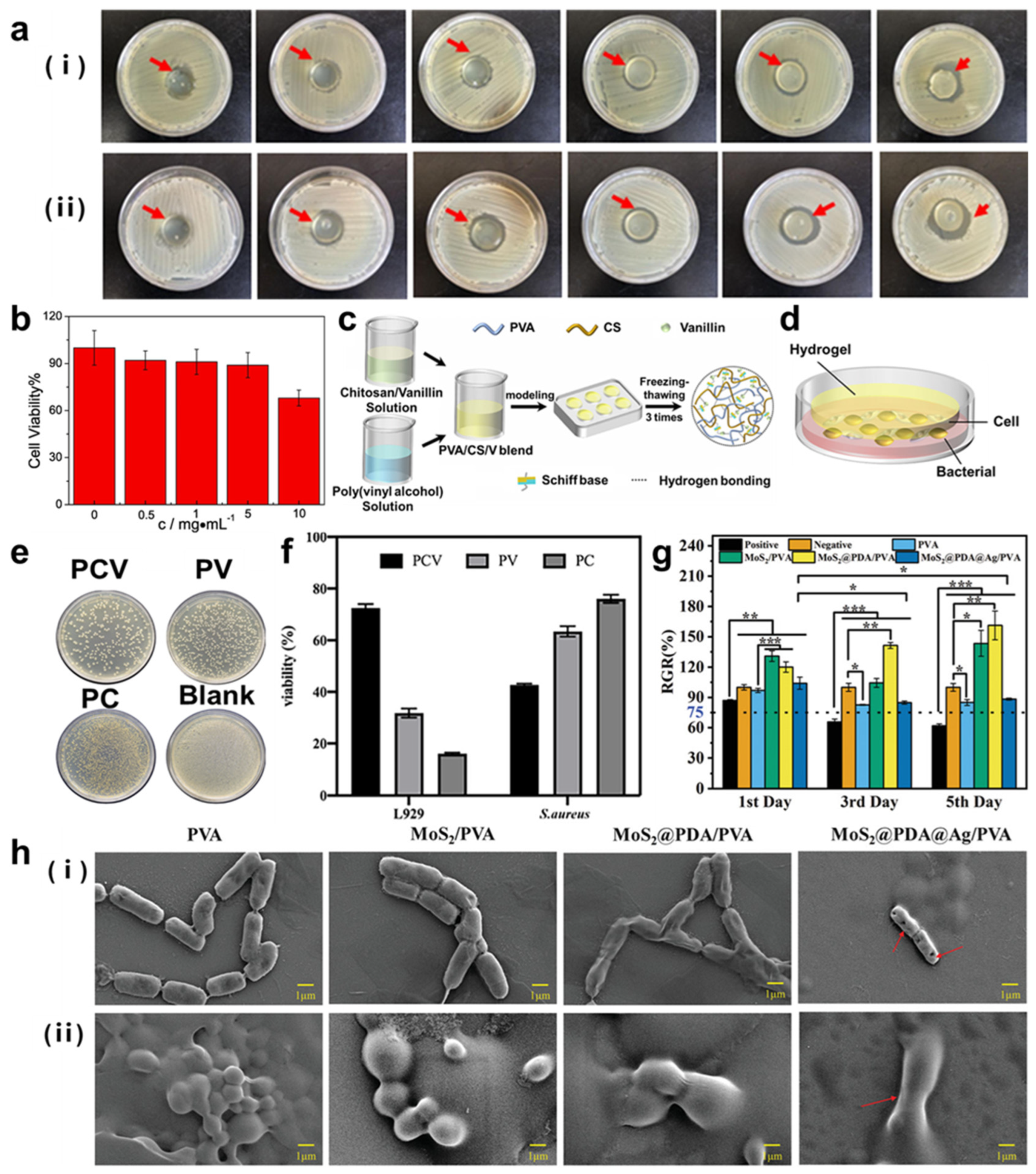Molecules 29 03883 g016