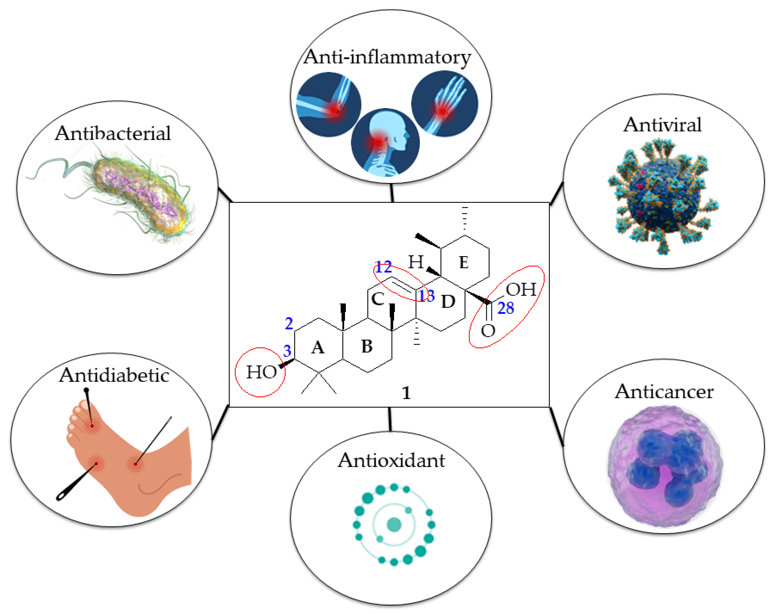 Molecules 29 03884 g001