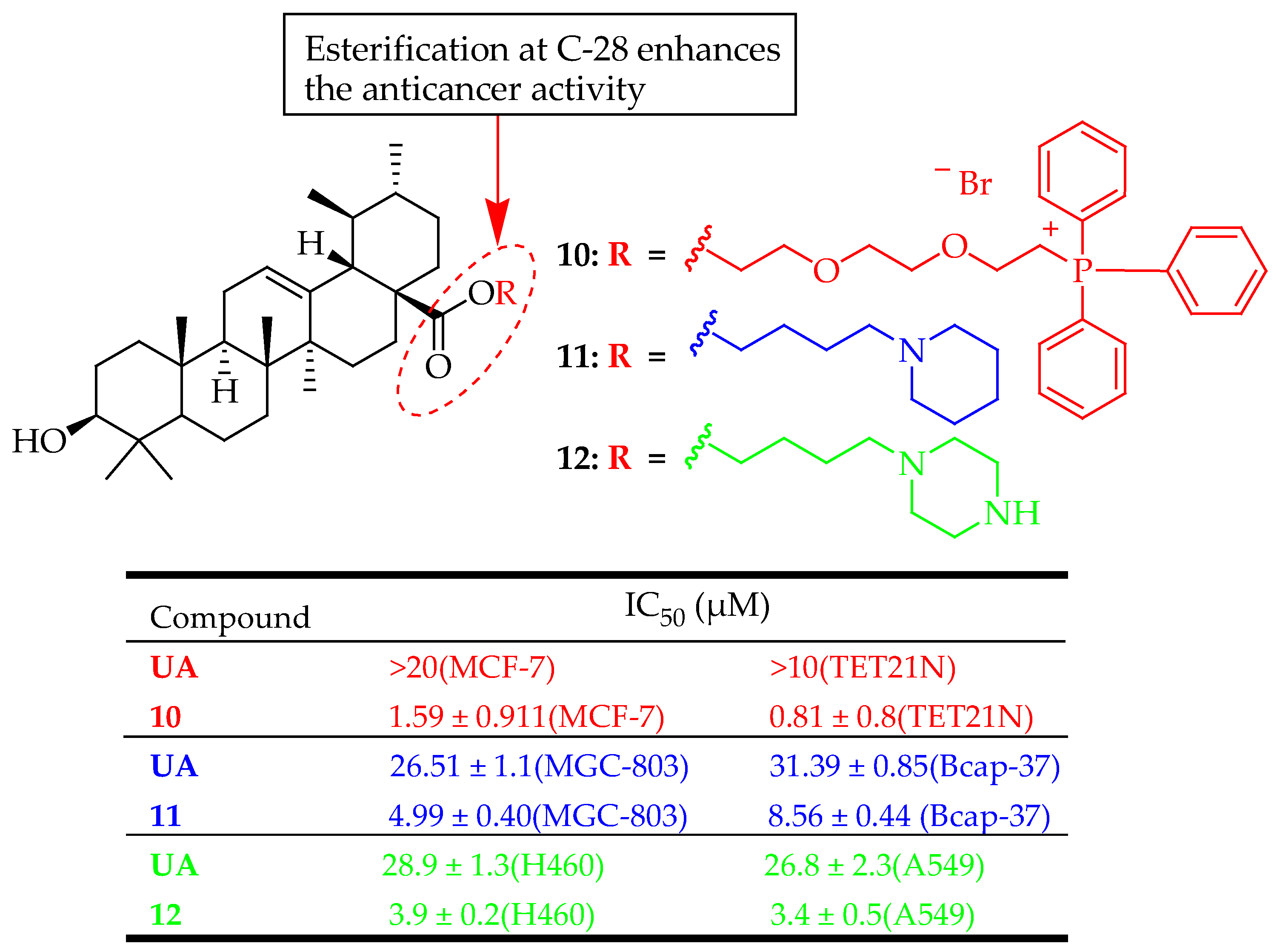 Molecules 29 03884 g009