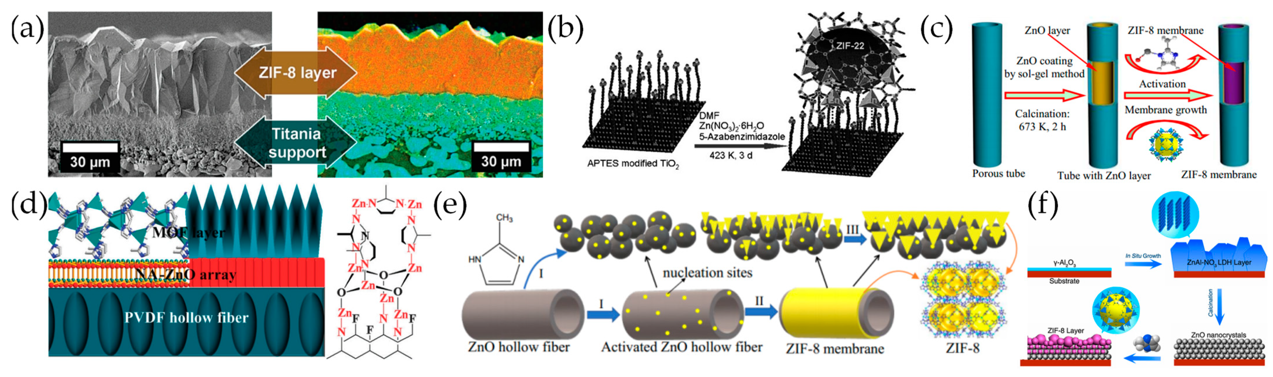 Molecules 29 03885 g002