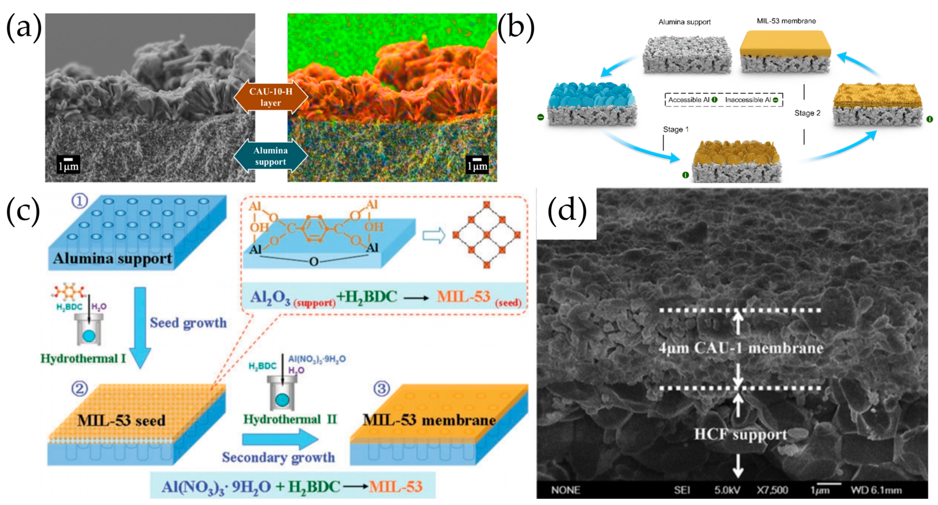 Molecules 29 03885 g007