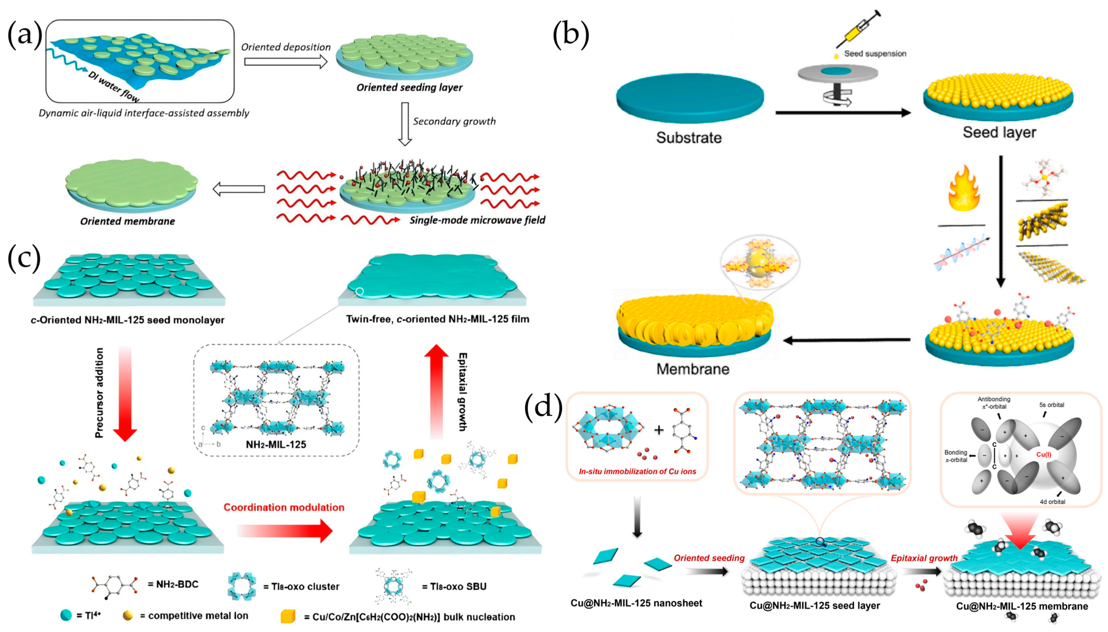 Molecules 29 03885 g009