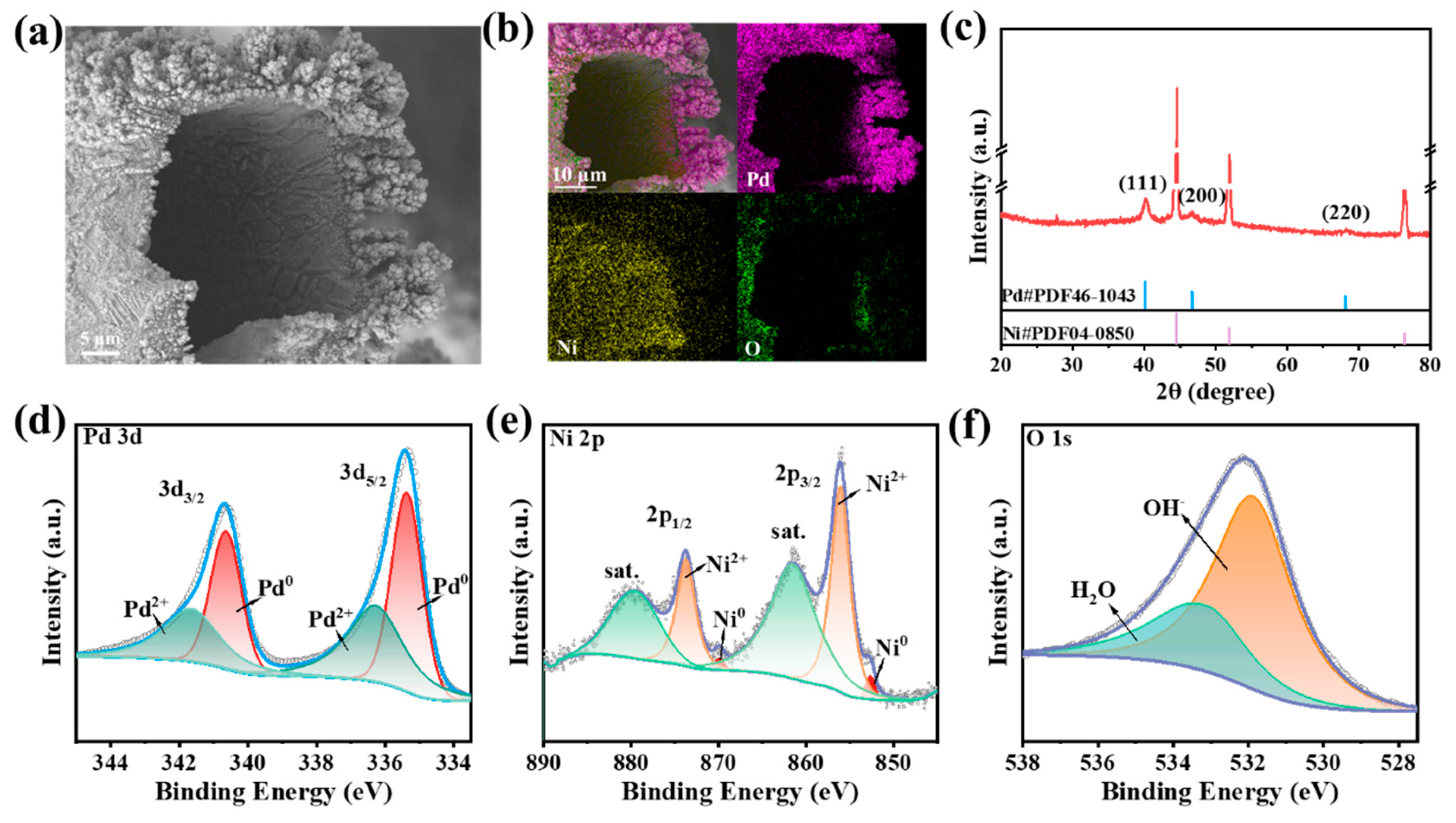 Molecules 29 03890 g001