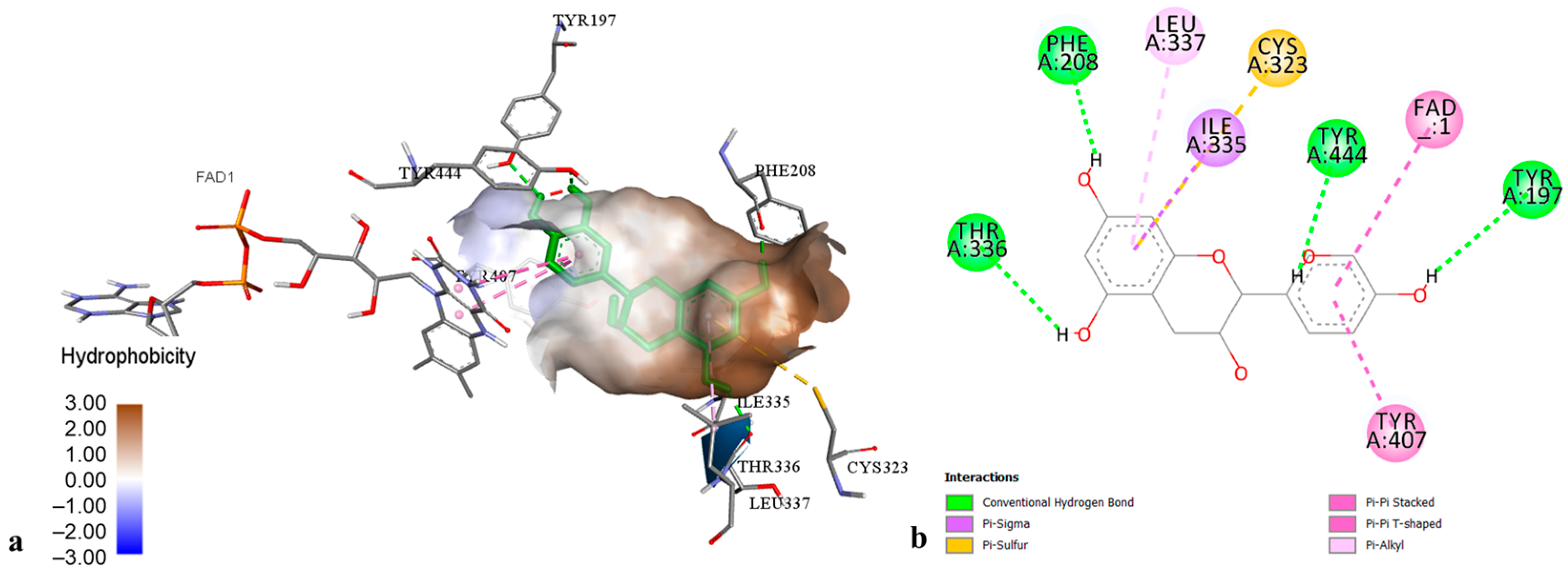 Molecules 29 03893 g002