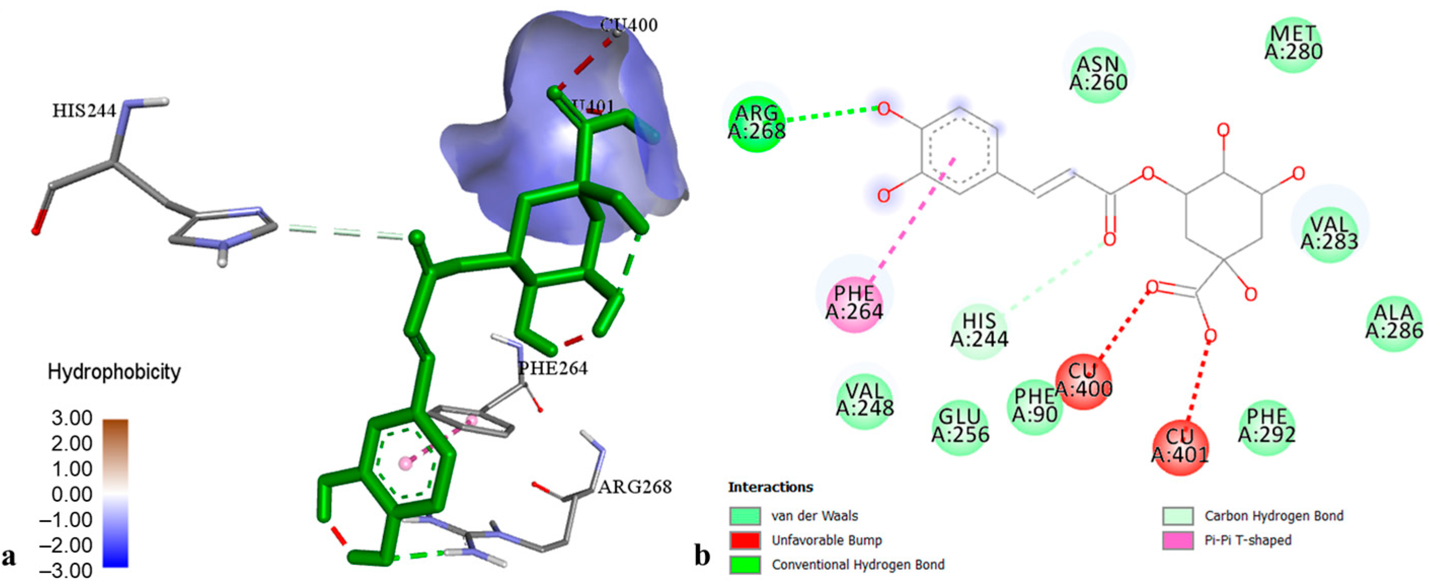 Molecules 29 03893 g004