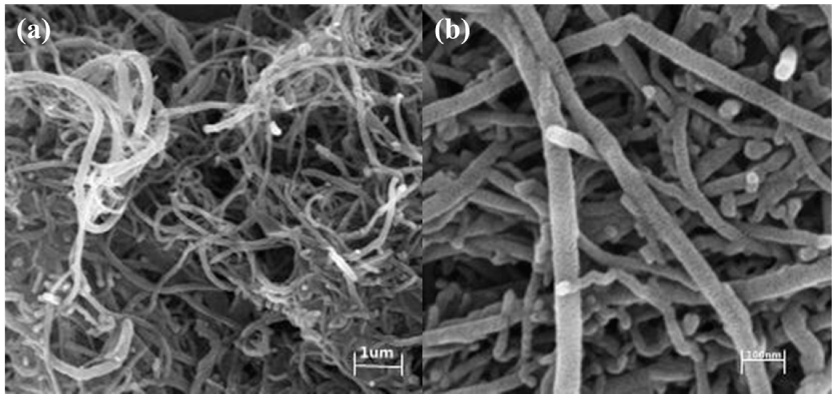 Molecules 29 03896 g007