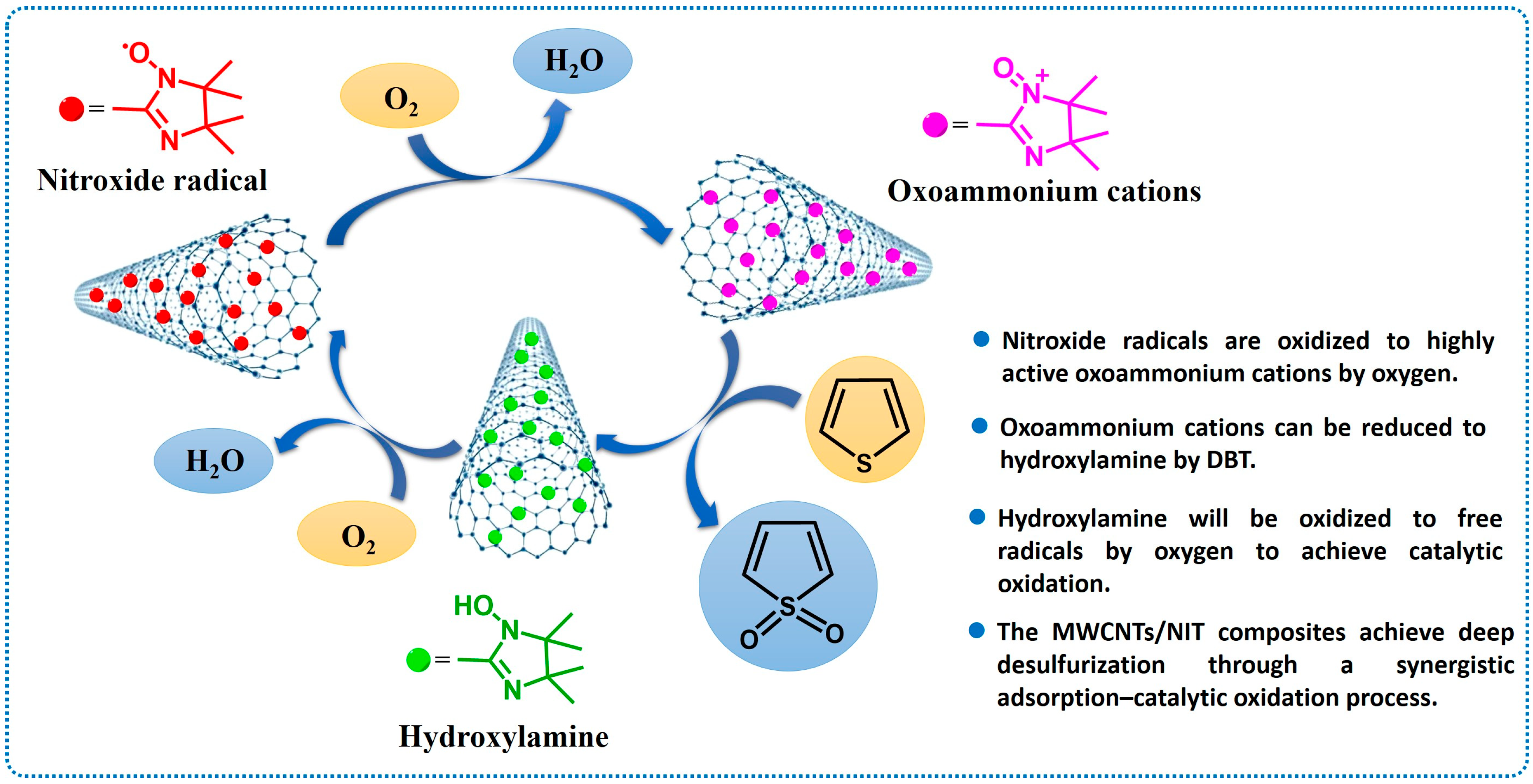 Molecules 29 03896 g010