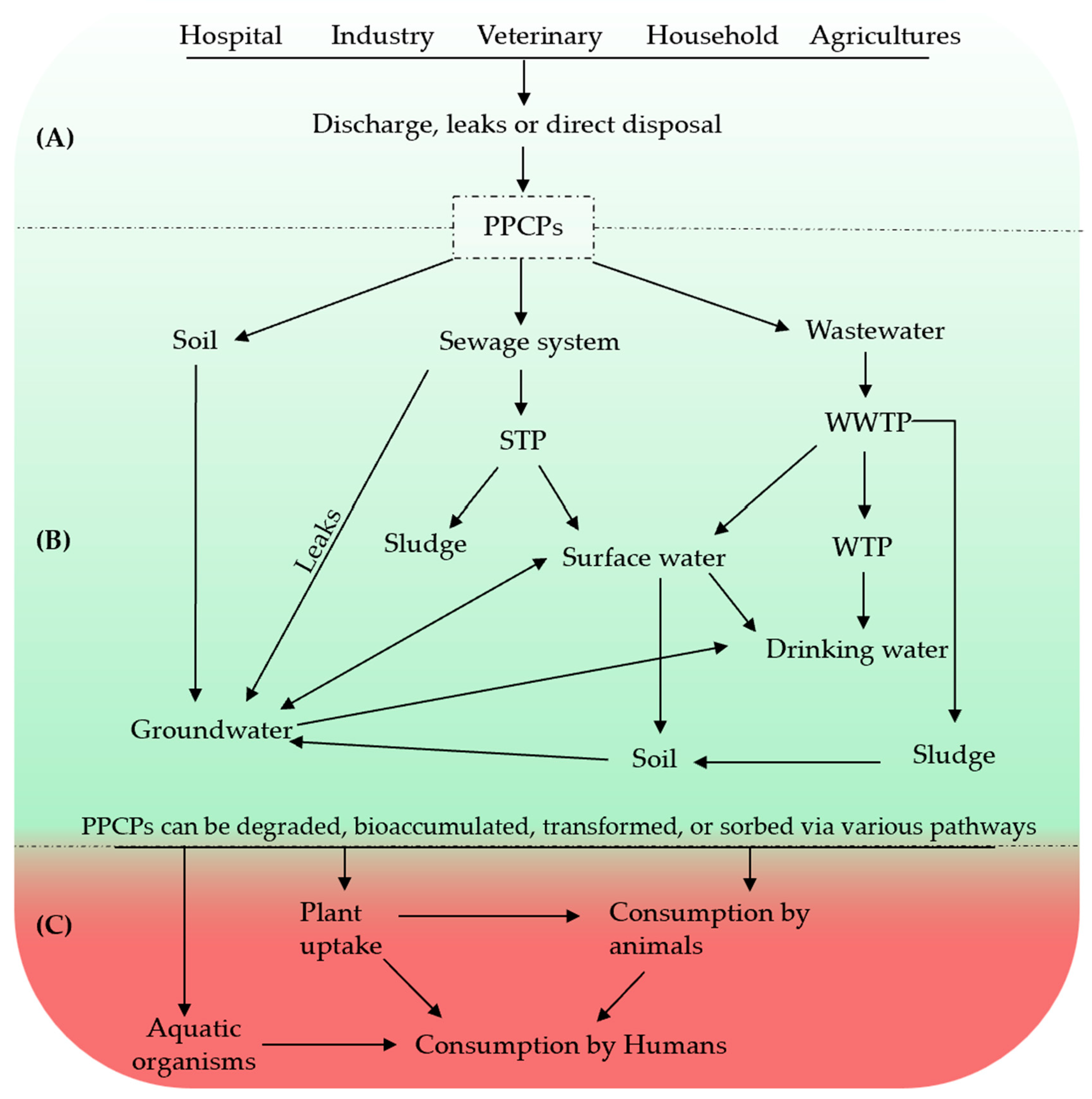 Molecules 29 03900 g001