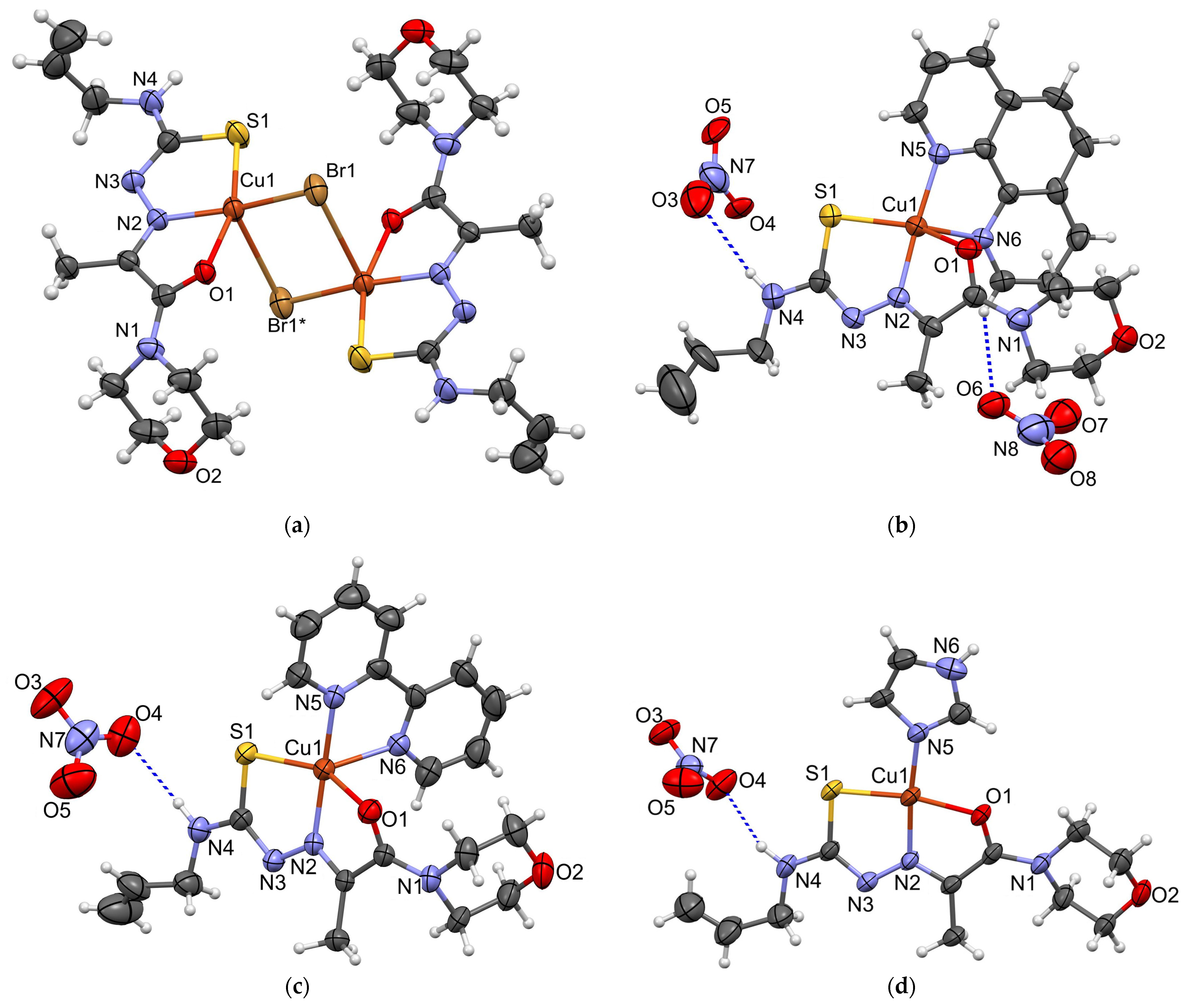 Molecules 29 03903 g004