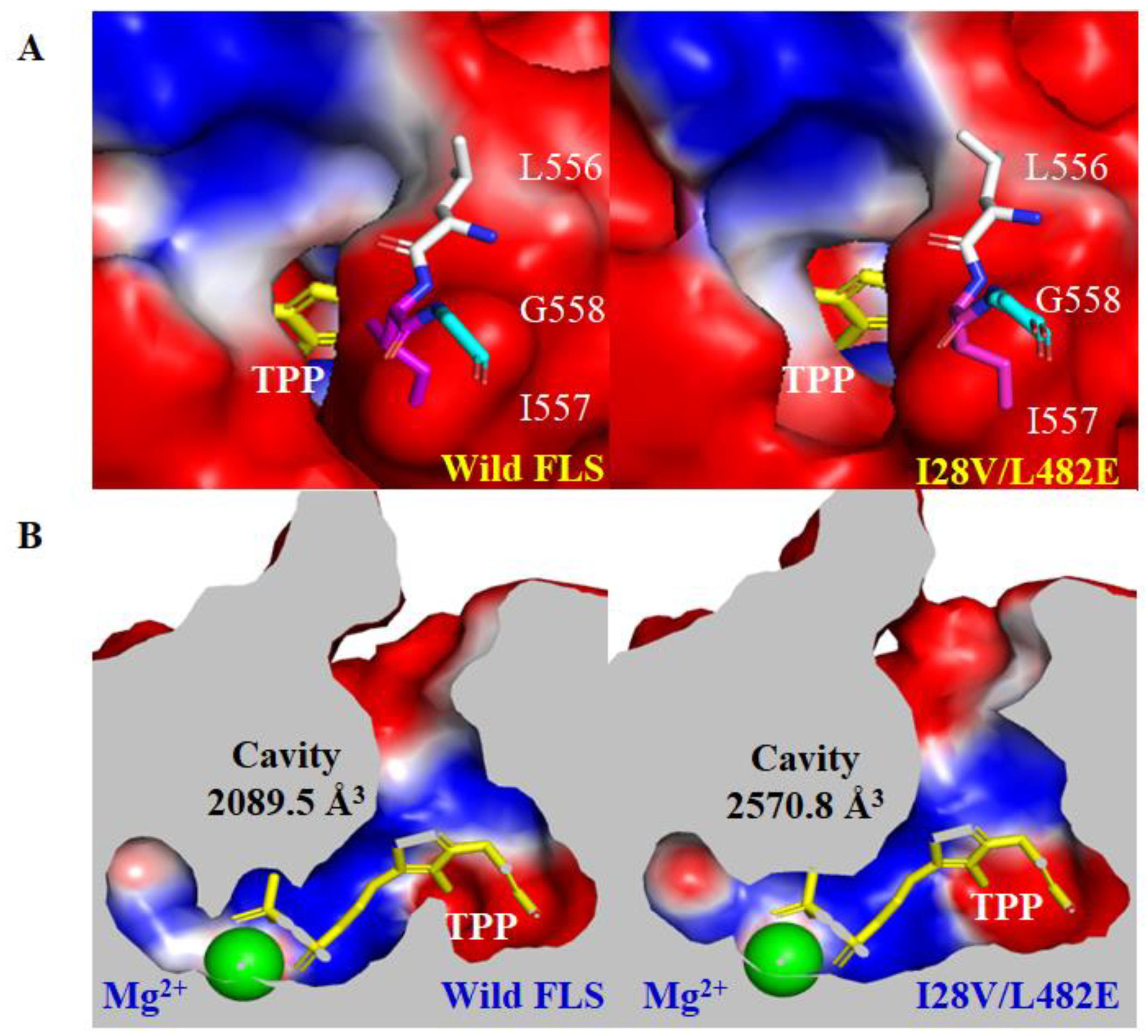 Molecules 29 03934 g006
