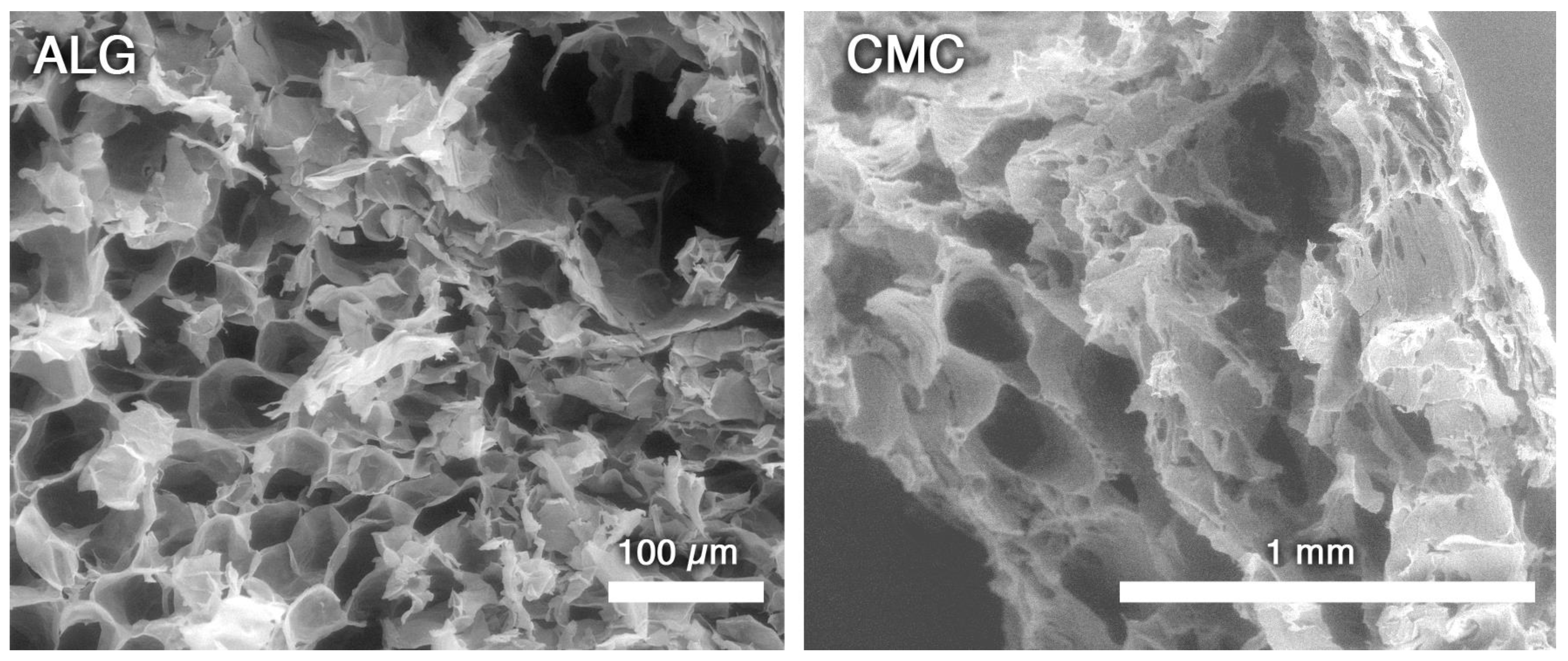 Molecules 29 03935 g003 Molecules 29 03935 g003