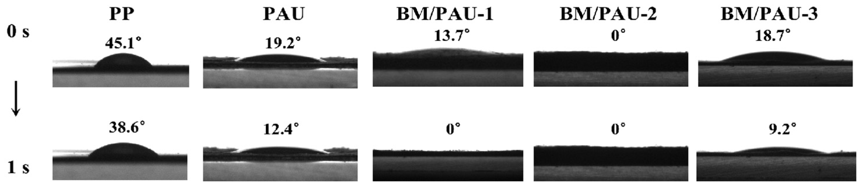 Molecules 29 03938 g004