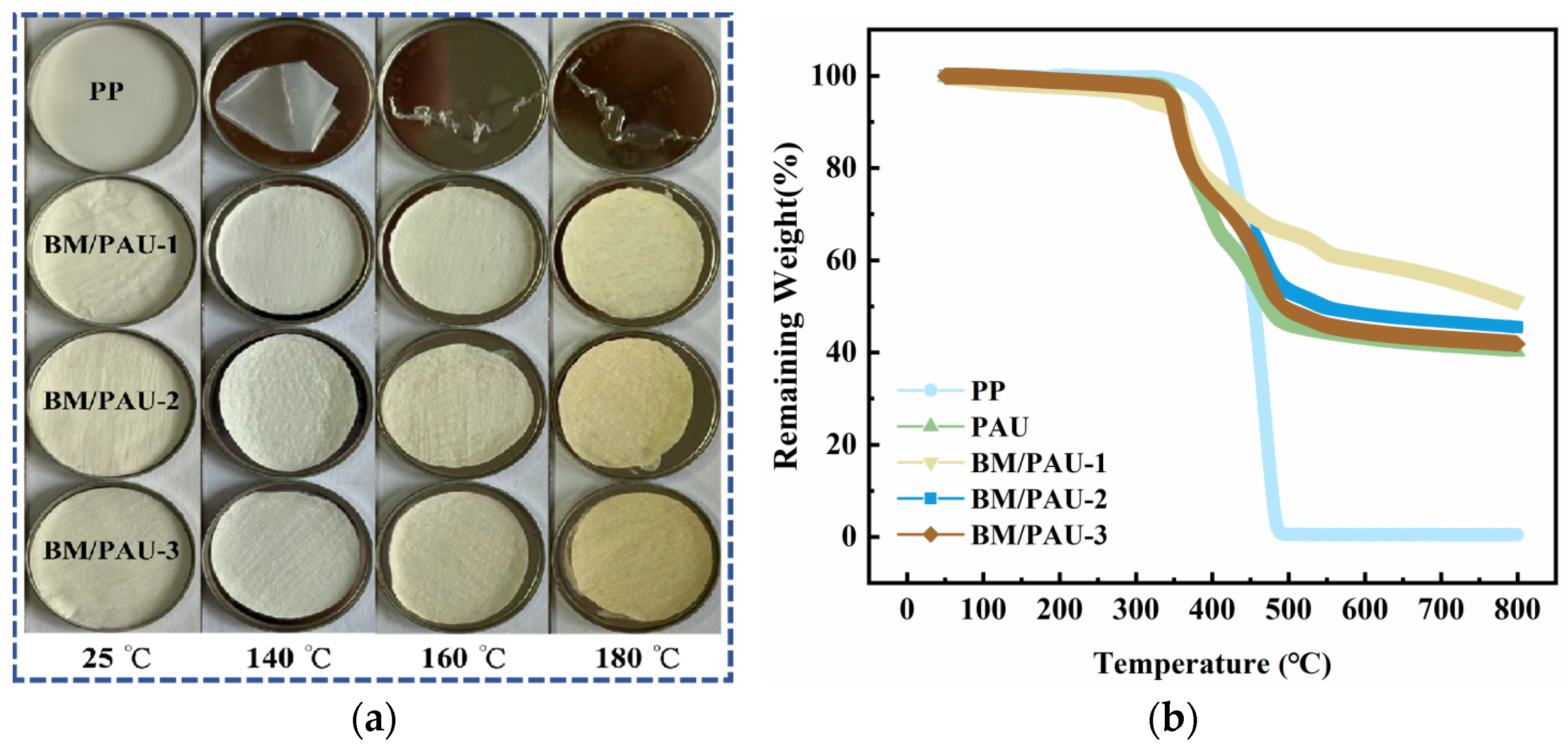Molecules 29 03938 g006