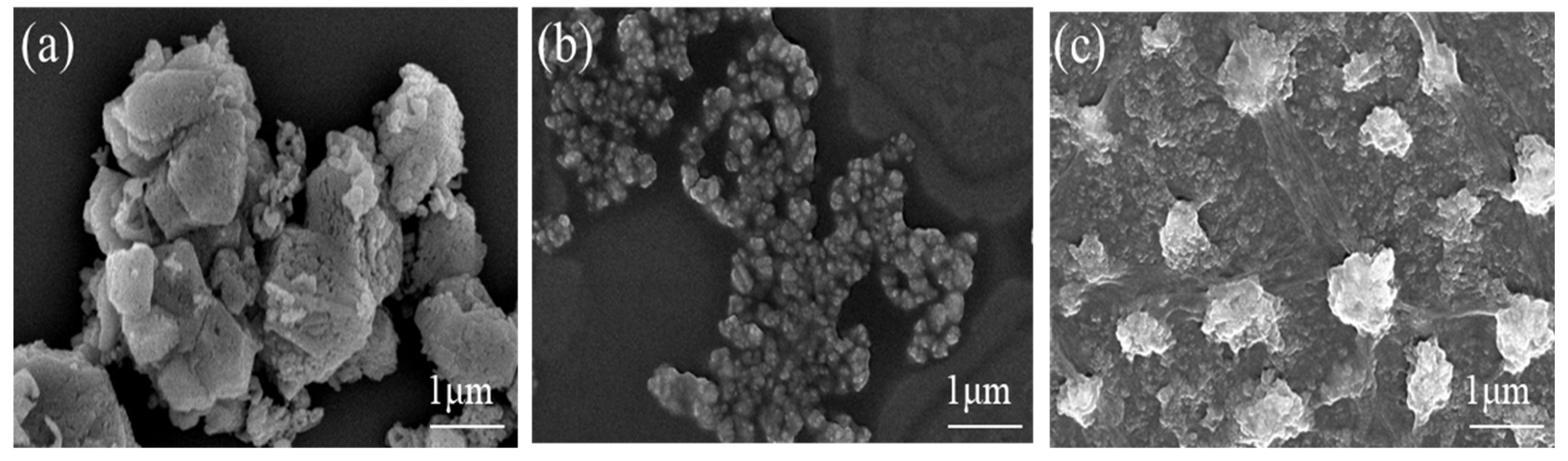 Molecules 29 03940 g004