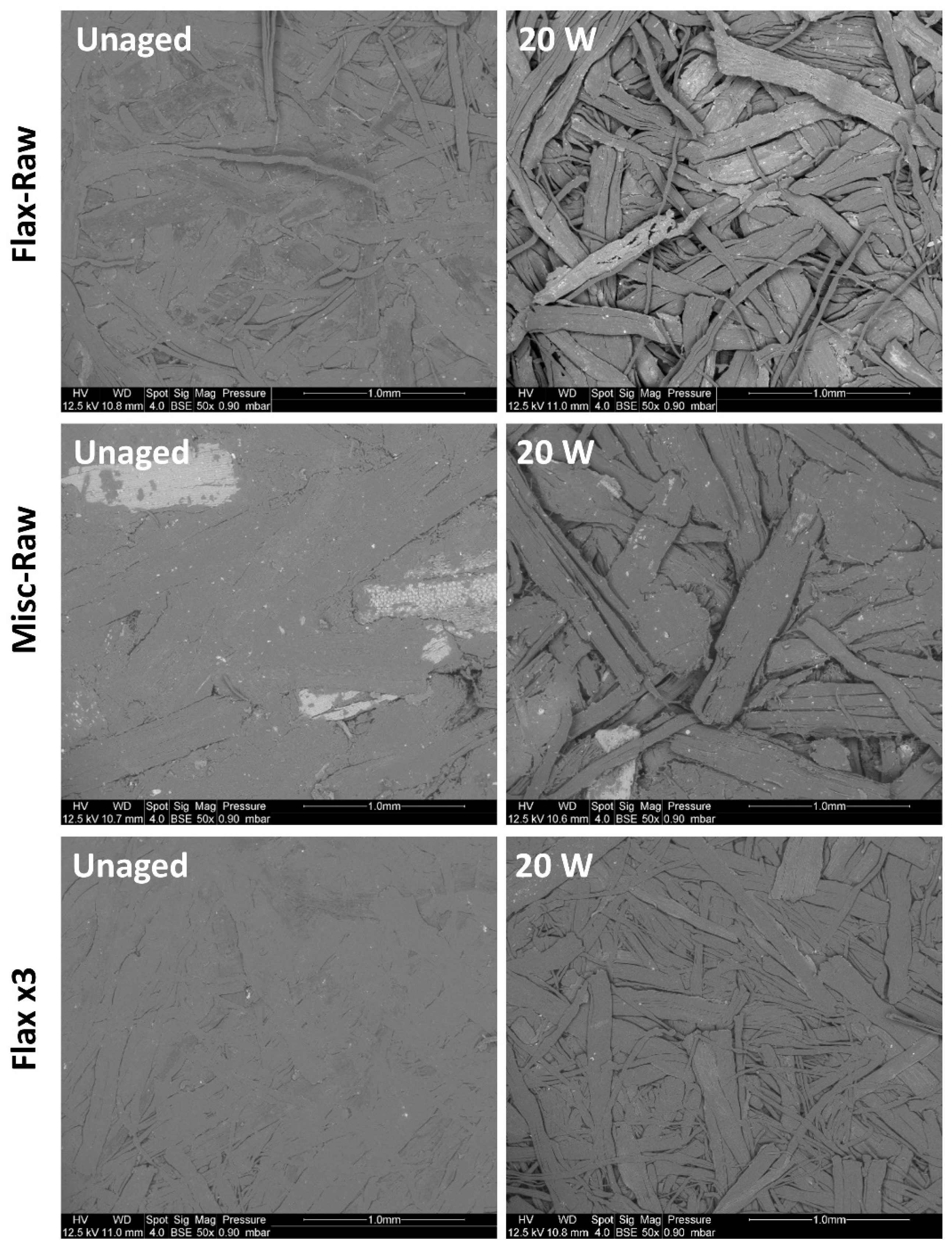 Molecules 29 03945 g007