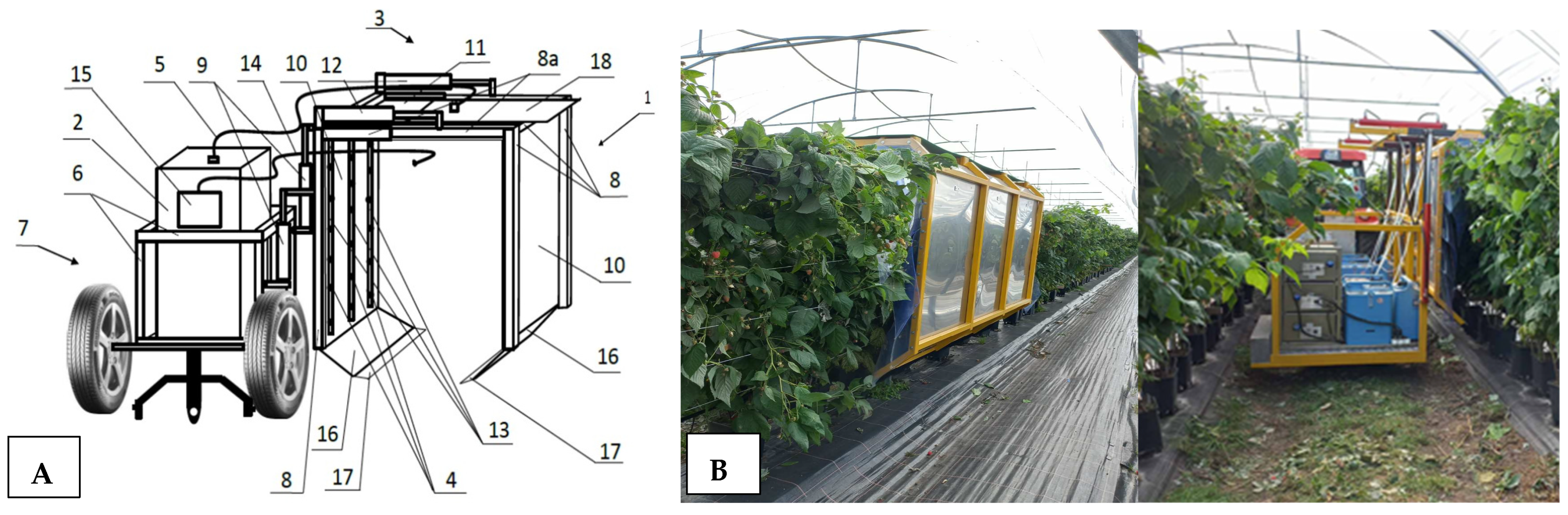 Molecules 29 03949 g001