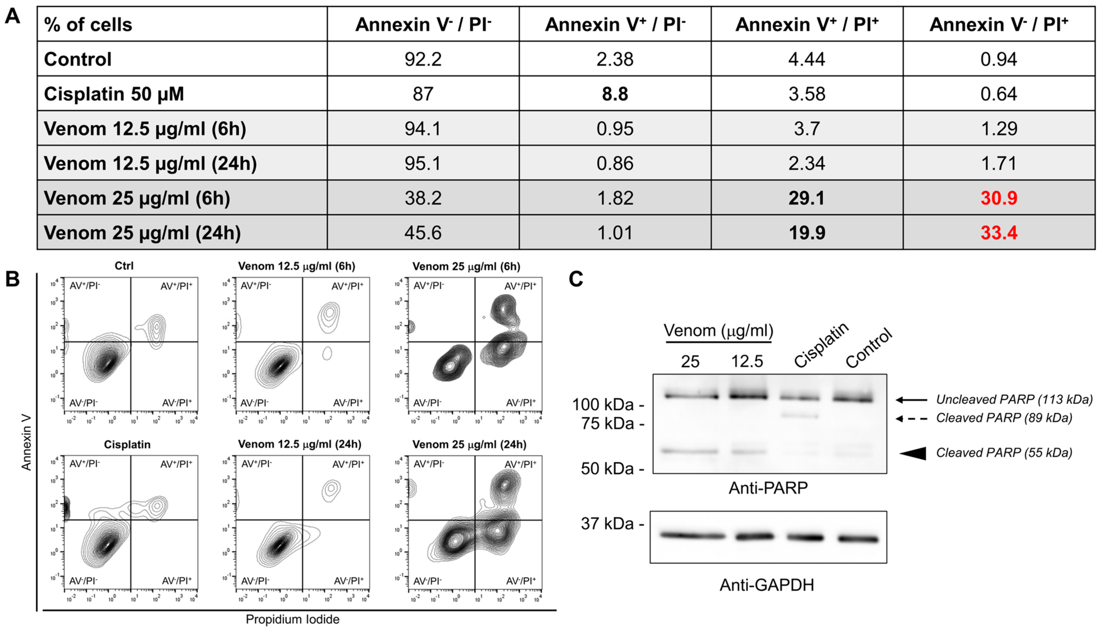 Molecules 29 03950 g002