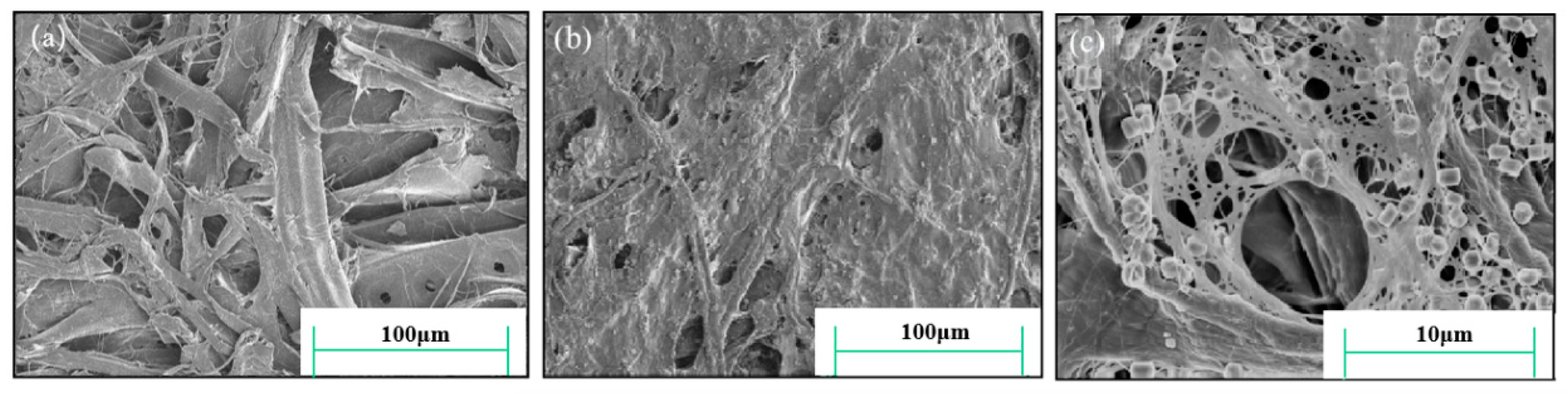 Molecules 29 03959 g003 Molecules 29 03959 g003