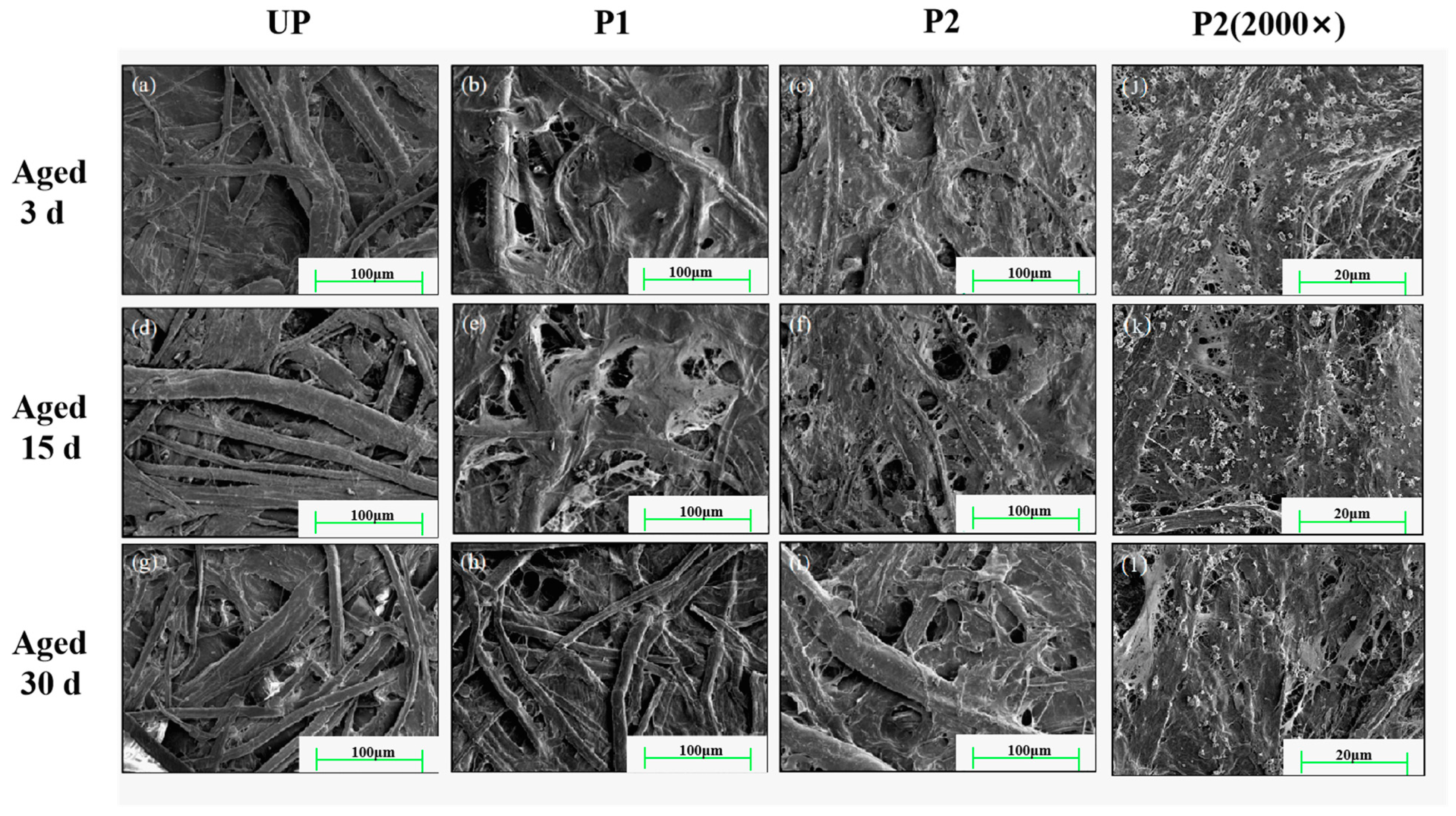Molecules 29 03959 g009 Molecules 29 03959 g009